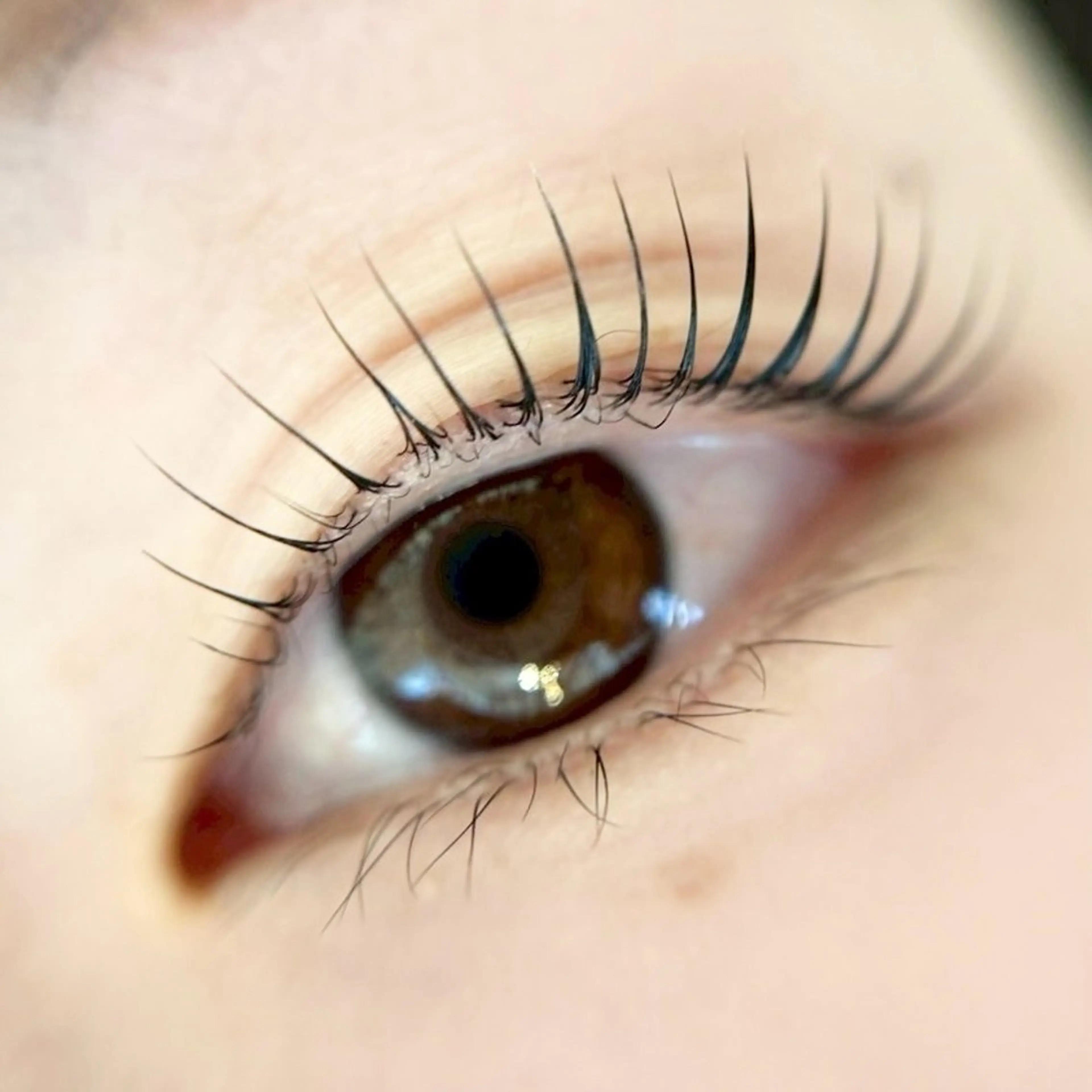 11月限定🍏 《初回》上まつげラッシュリフト（まつげパーマ）🍏¥7,150→¥5,500 デビュー直前スタッフ担当！の写真