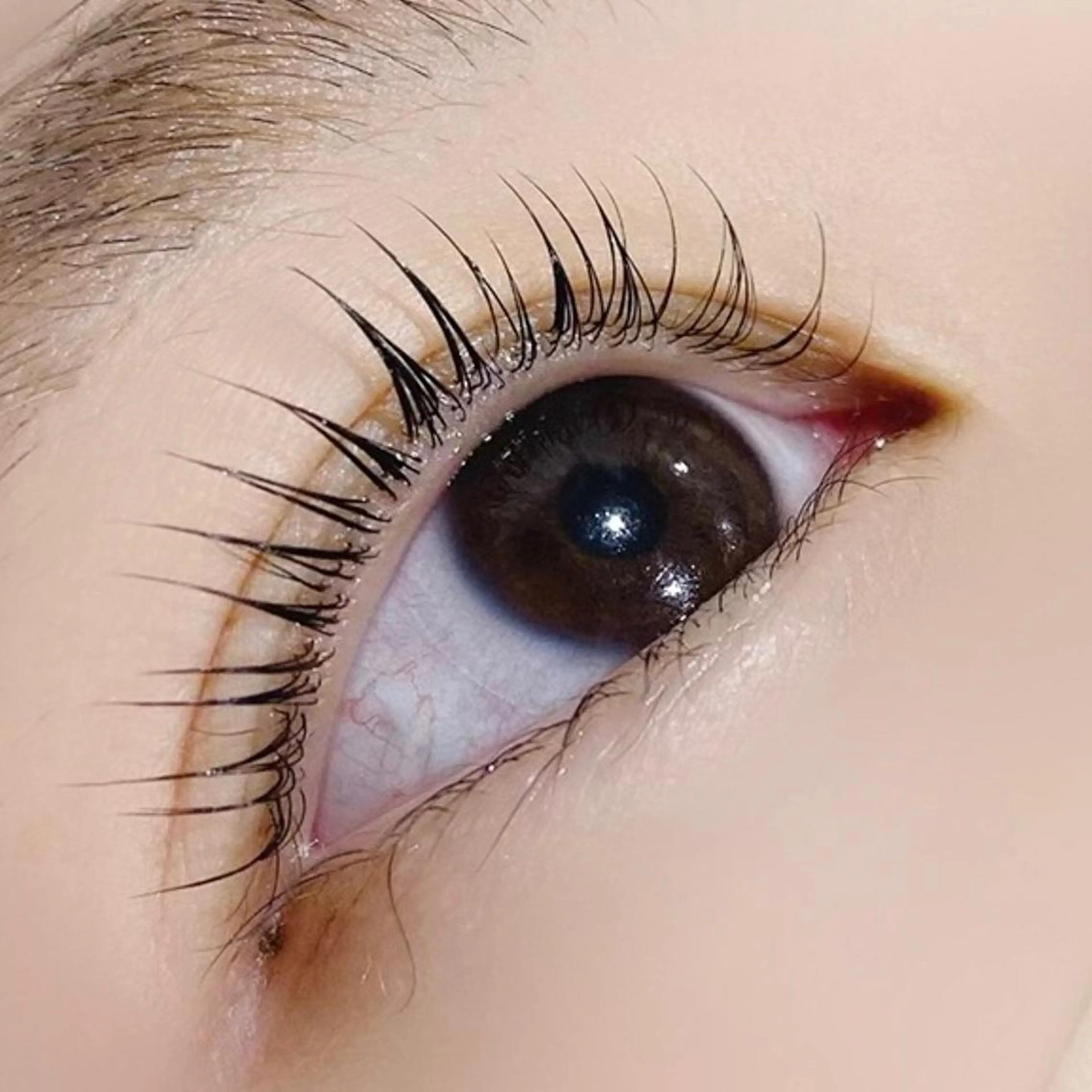 マツエク・マツパ パリジェンヌラッシュリフト マツパ 【myonsil】 Suzuki*のマツエク・マツパデザイン