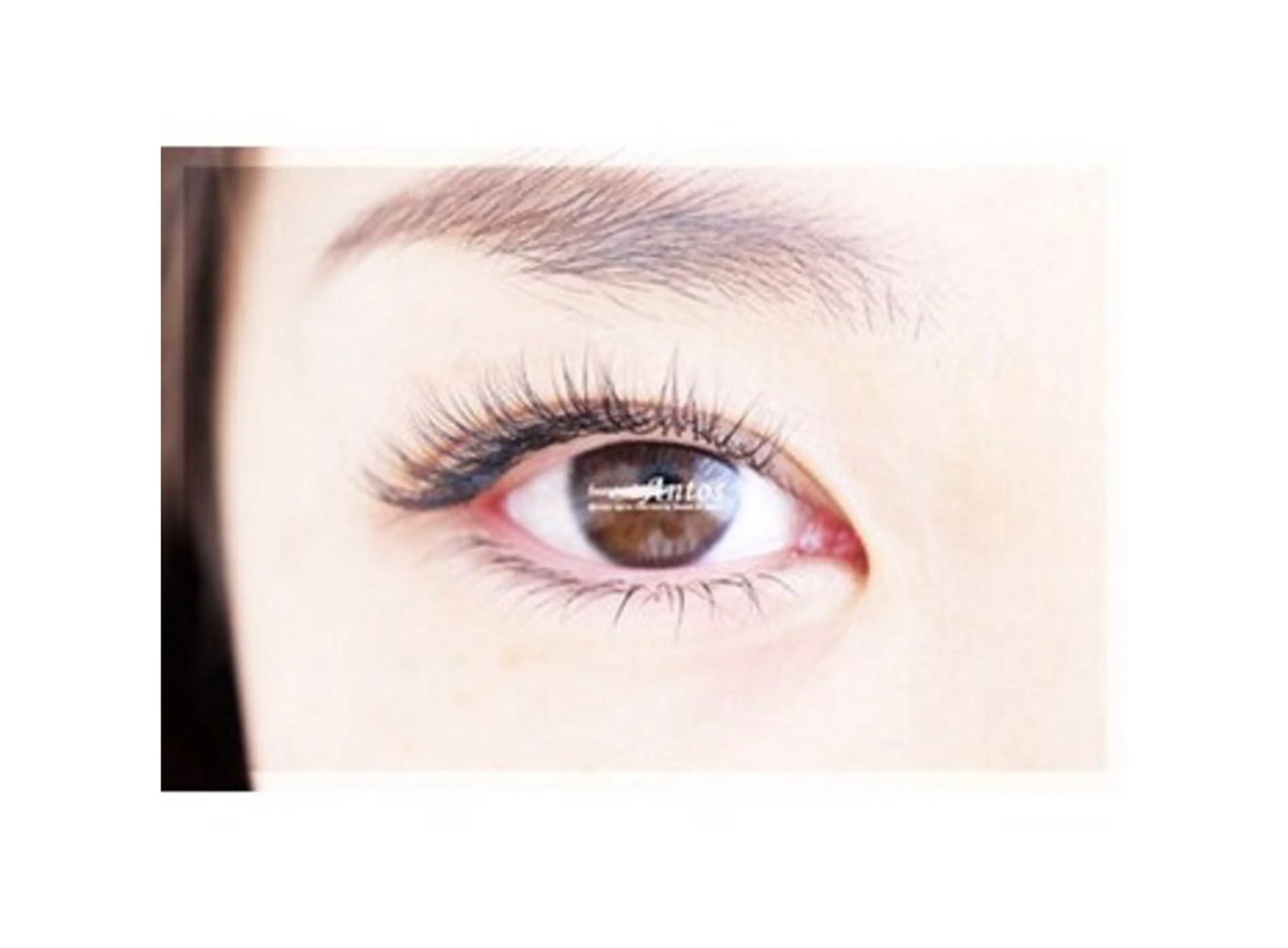 【新規/マツエクボリュームラッシュ400本まで💫コーティング付】オフなし*4D100束の写真