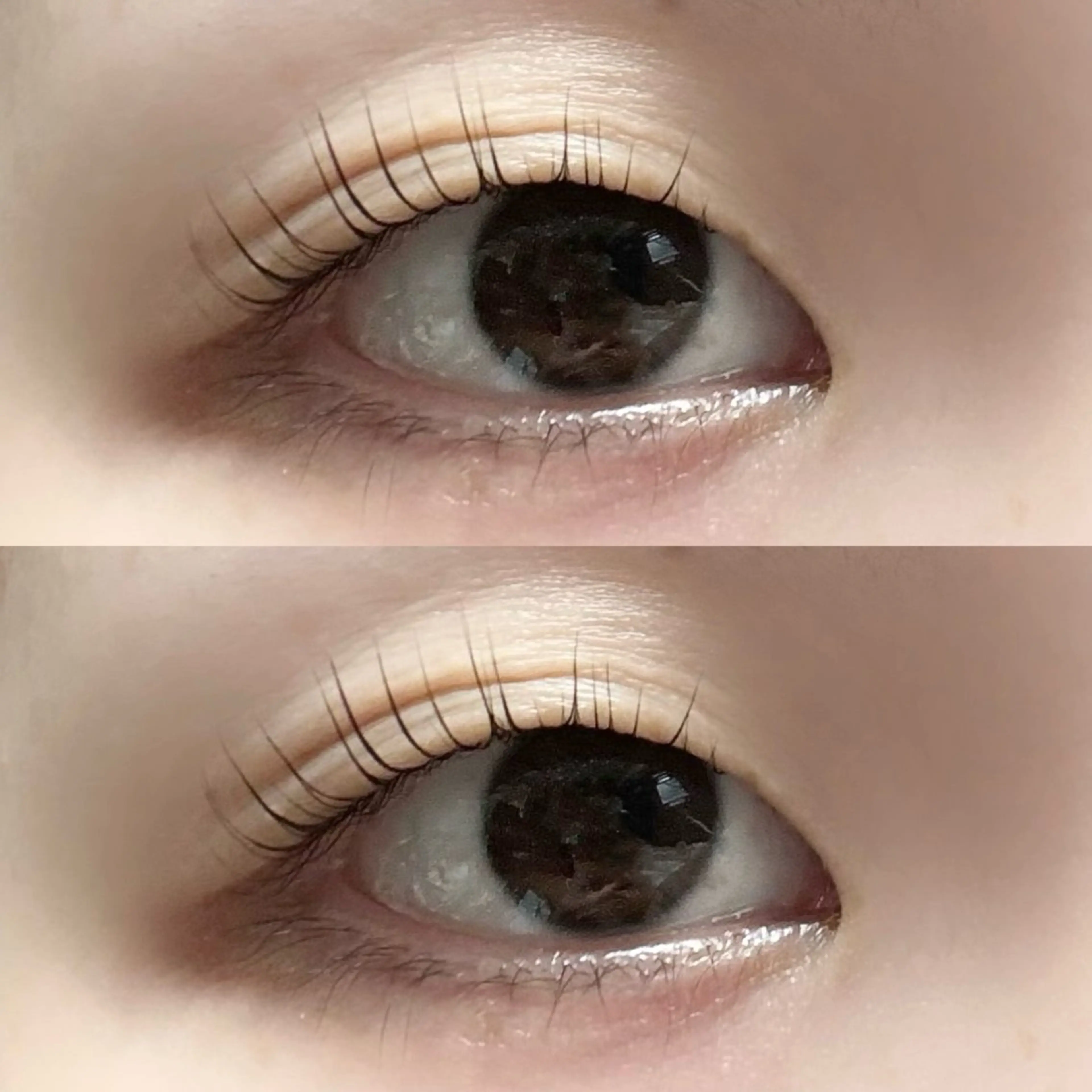 マツエク・マツパ マツパ まつパ/まつエク /横浜　🤍木村🤍のマツエク・マツパデザイン