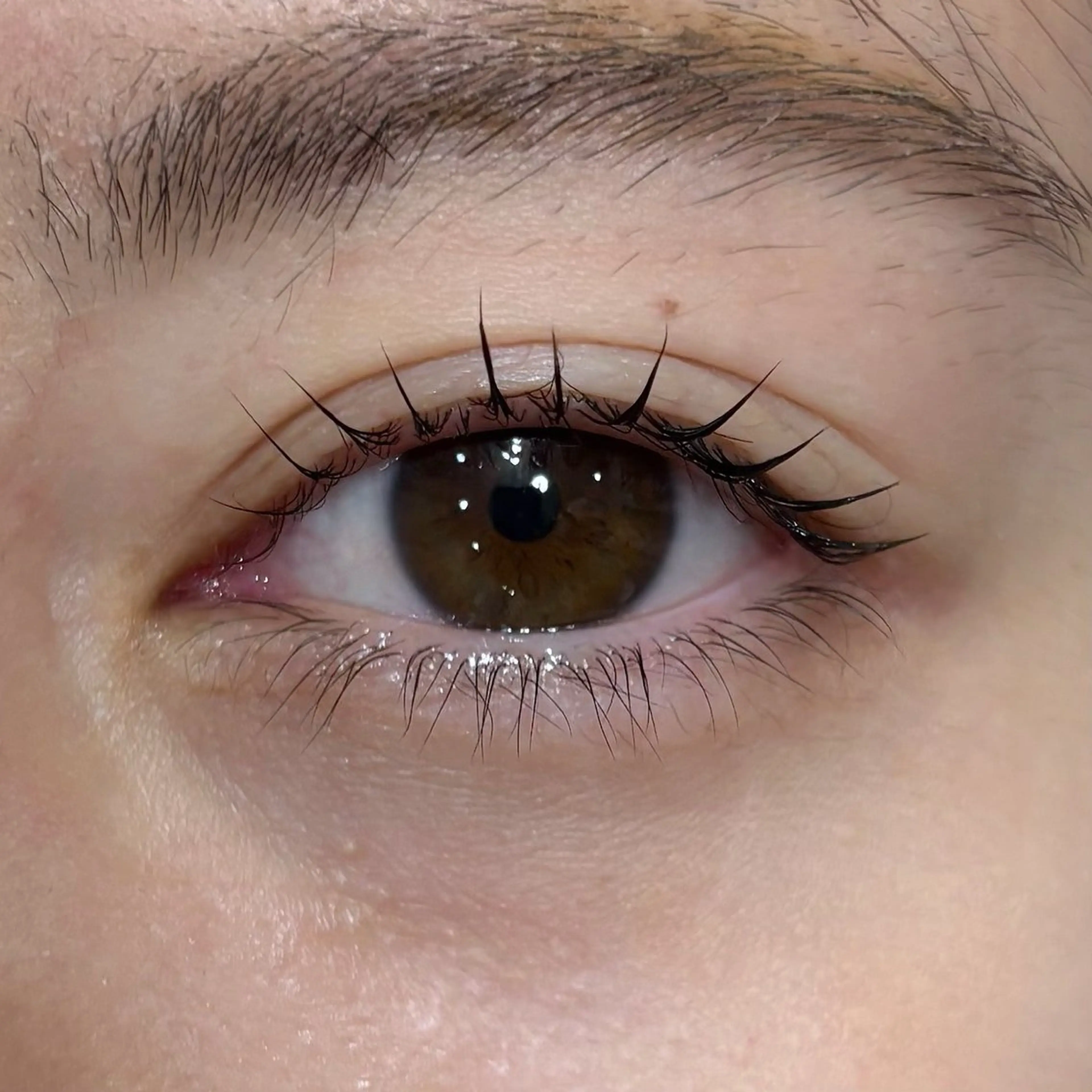 マツエク・マツパ マツパ BIANCA🤍🎀 OGAWAのマツエク・マツパデザイン