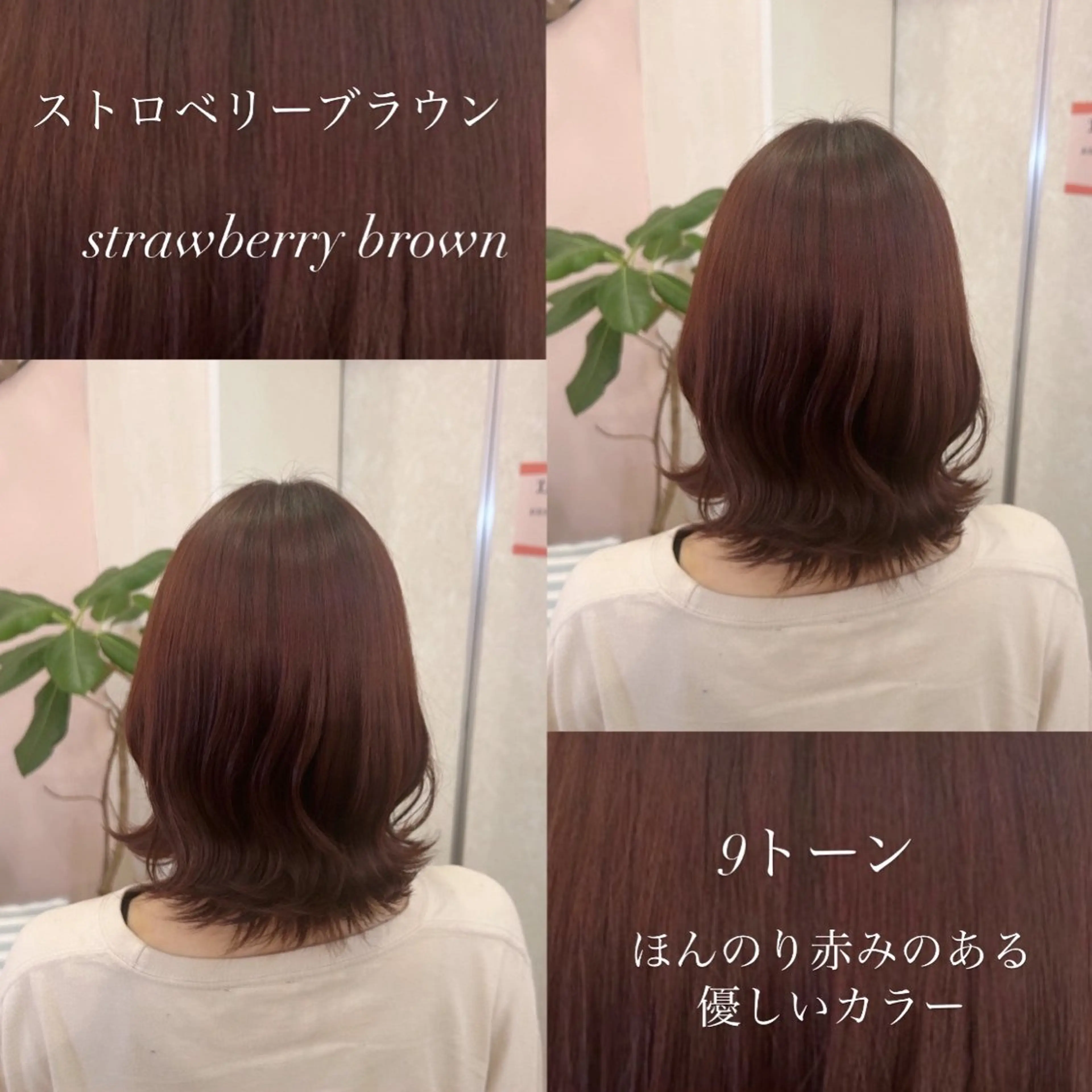 ミディアム カラー 韓国ヘア🧸髪質改善 🧸きくちみさきのヘアスタイル