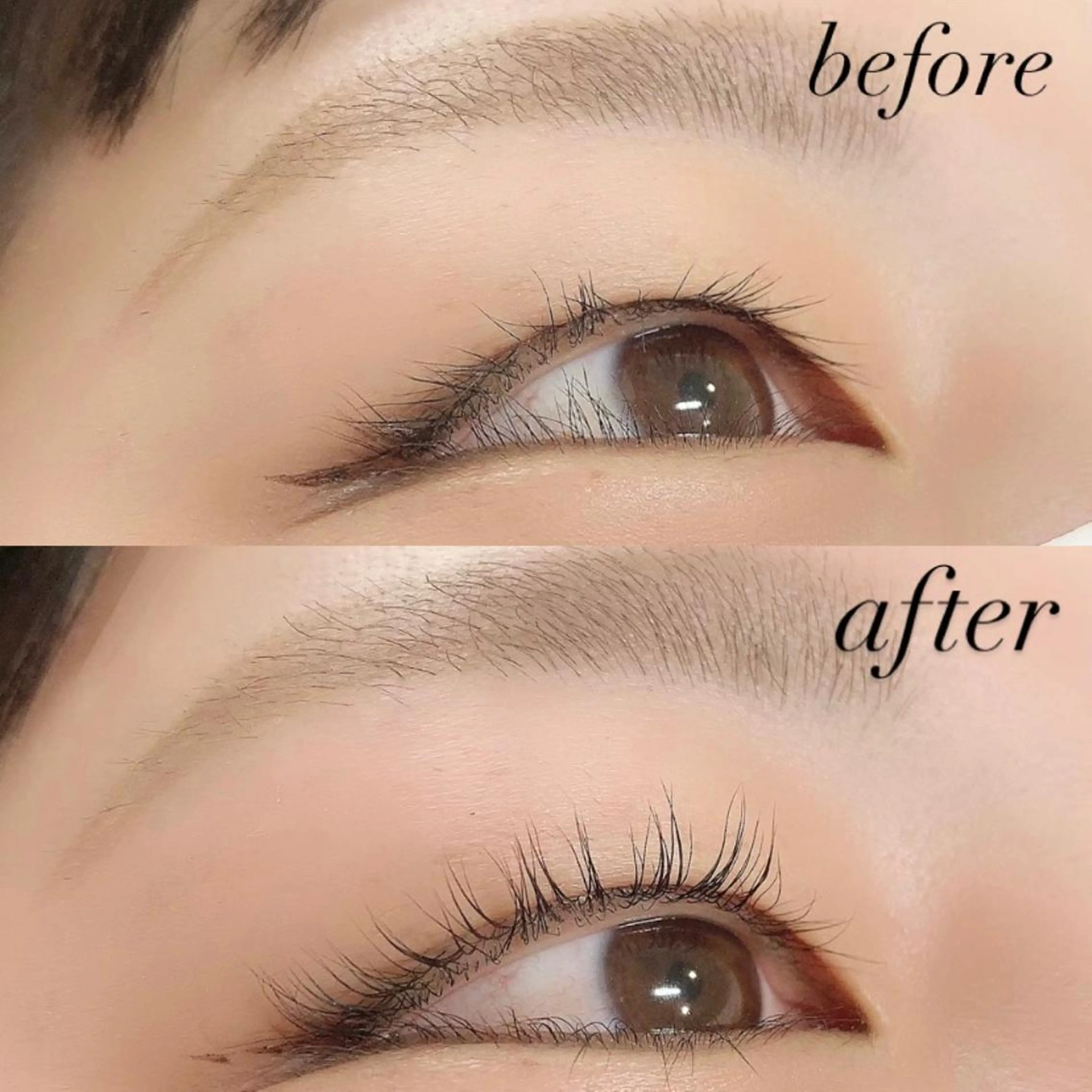 マツエク・マツパ マツパ Lanhr所属・【Lanhr】 🕊aya🕊のマツエク・マツパデザイン