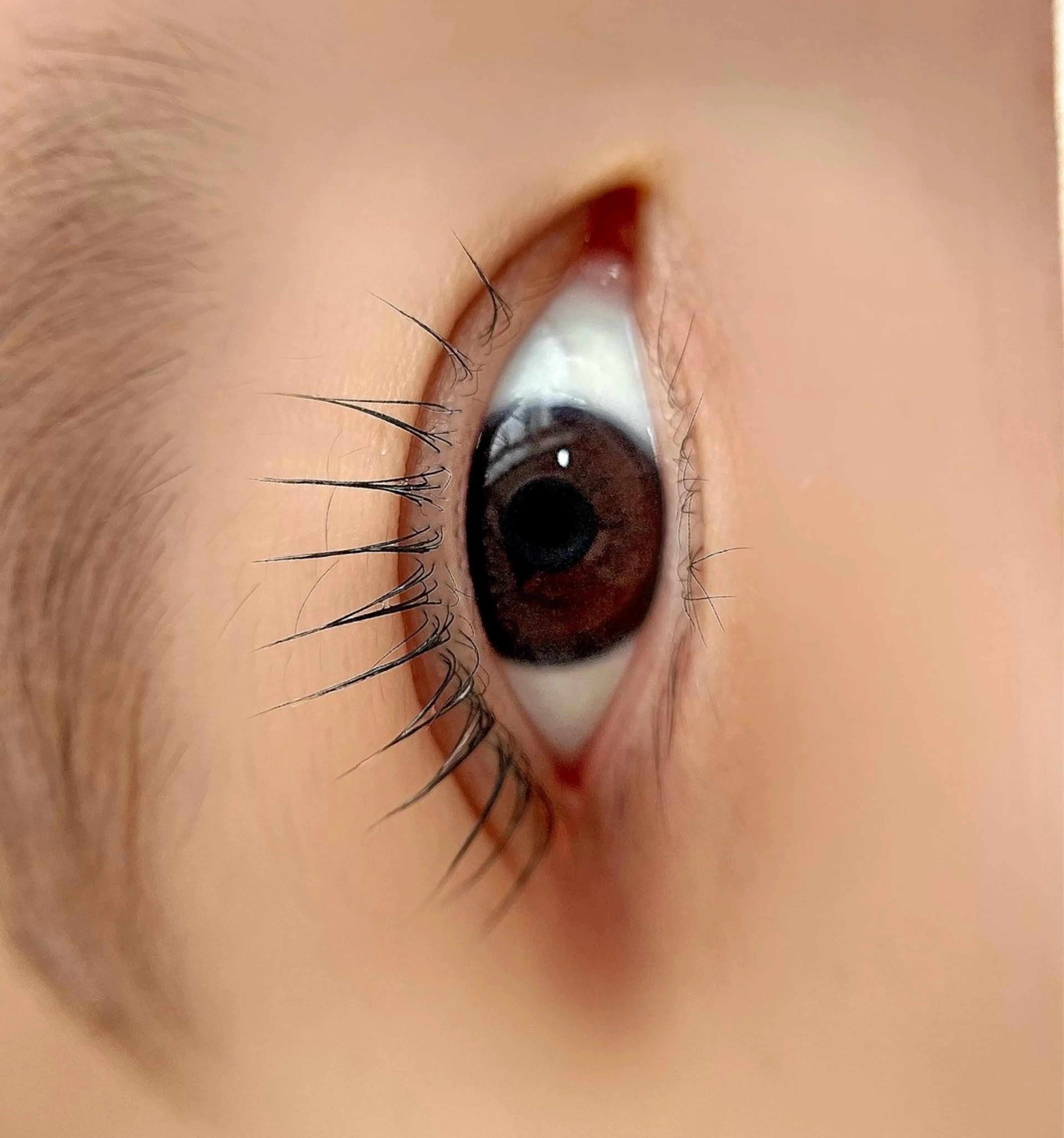 マツエク・マツパ un par un アンパルアン所属・un par unの眉毛・アイブロウイメージ