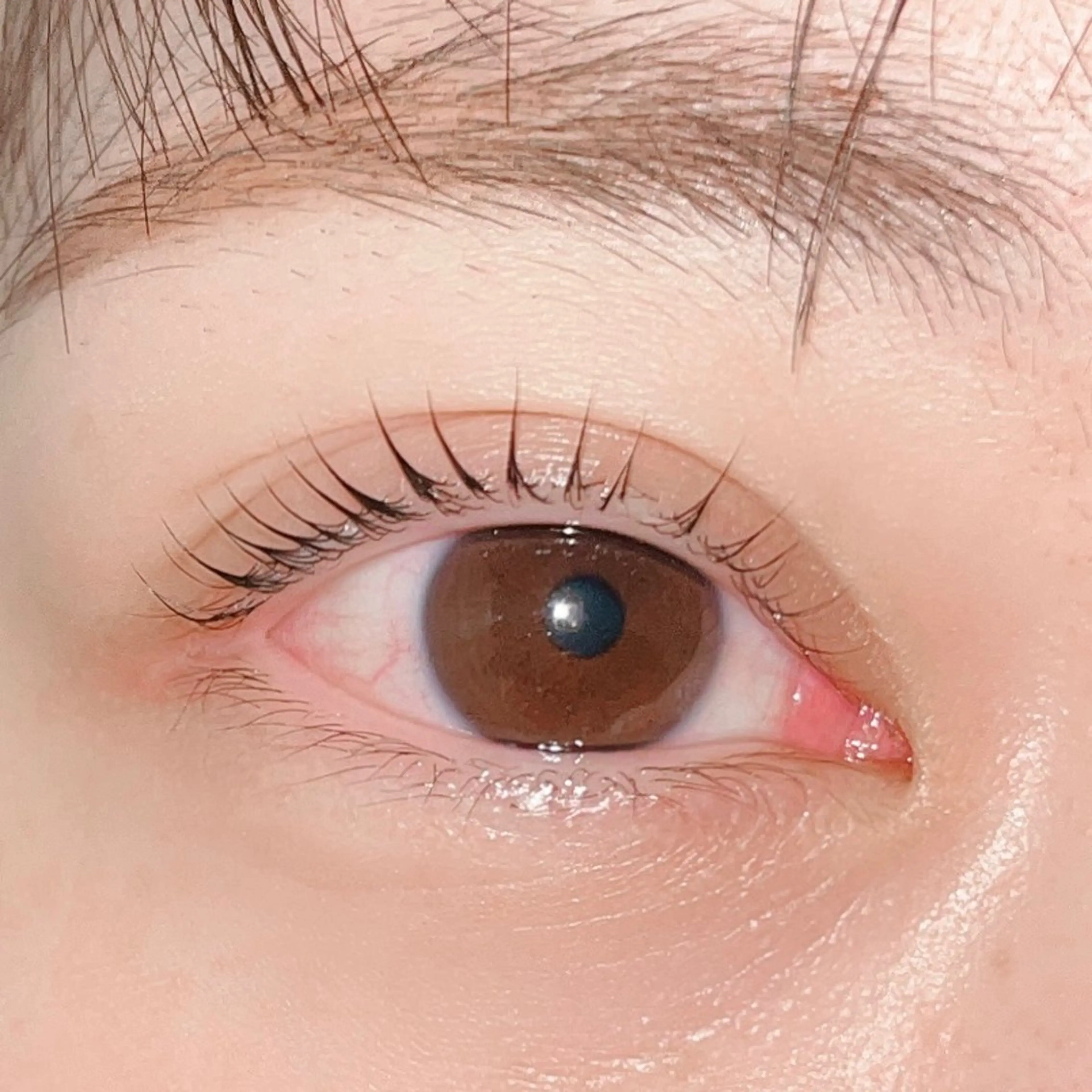 マツエク・マツパ 🩷💗アイリスト Yu💗🩷のマツエク・マツパデザイン