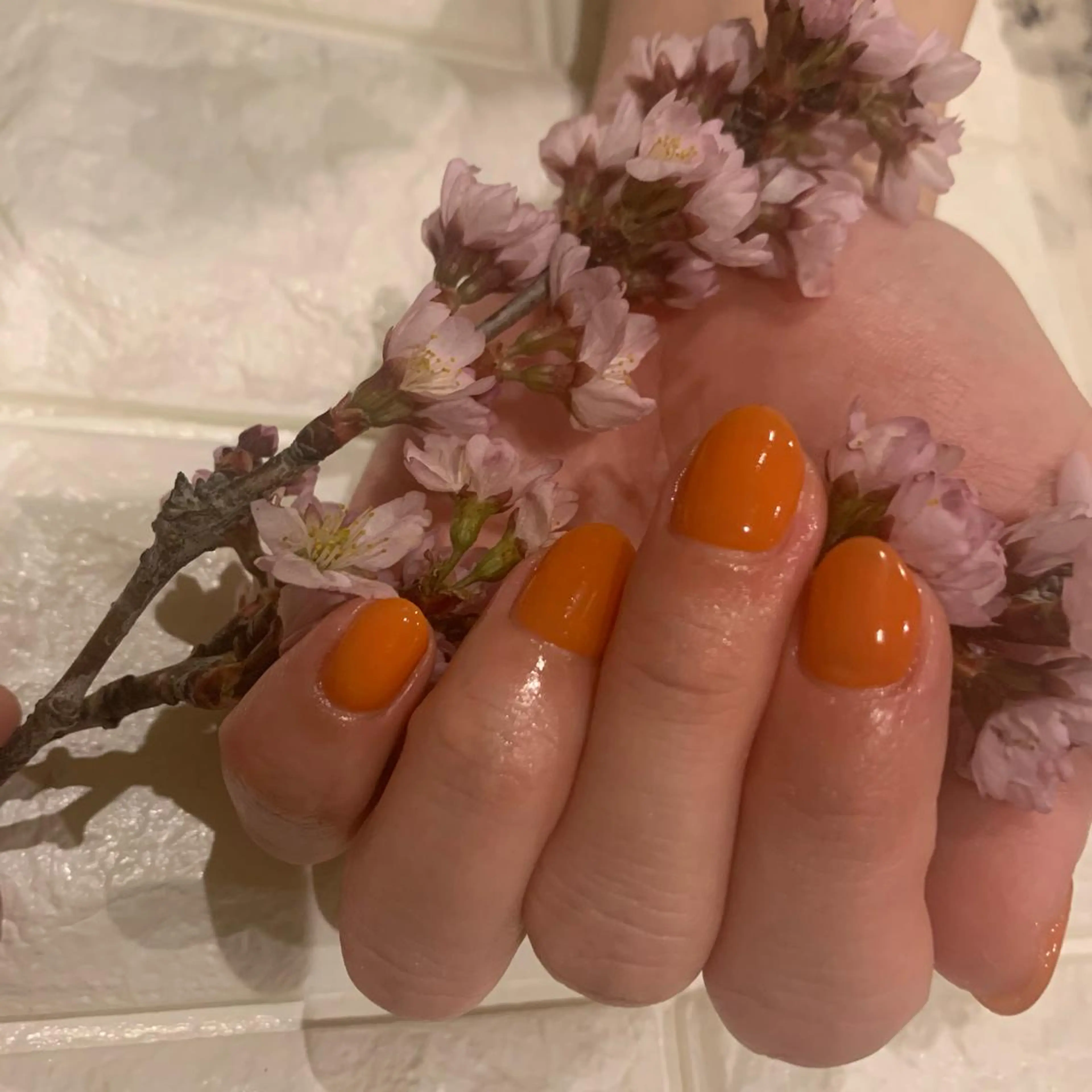 ネイル SHIKI モリンガ蒸し/水光肌のエステ・リラクイメージ