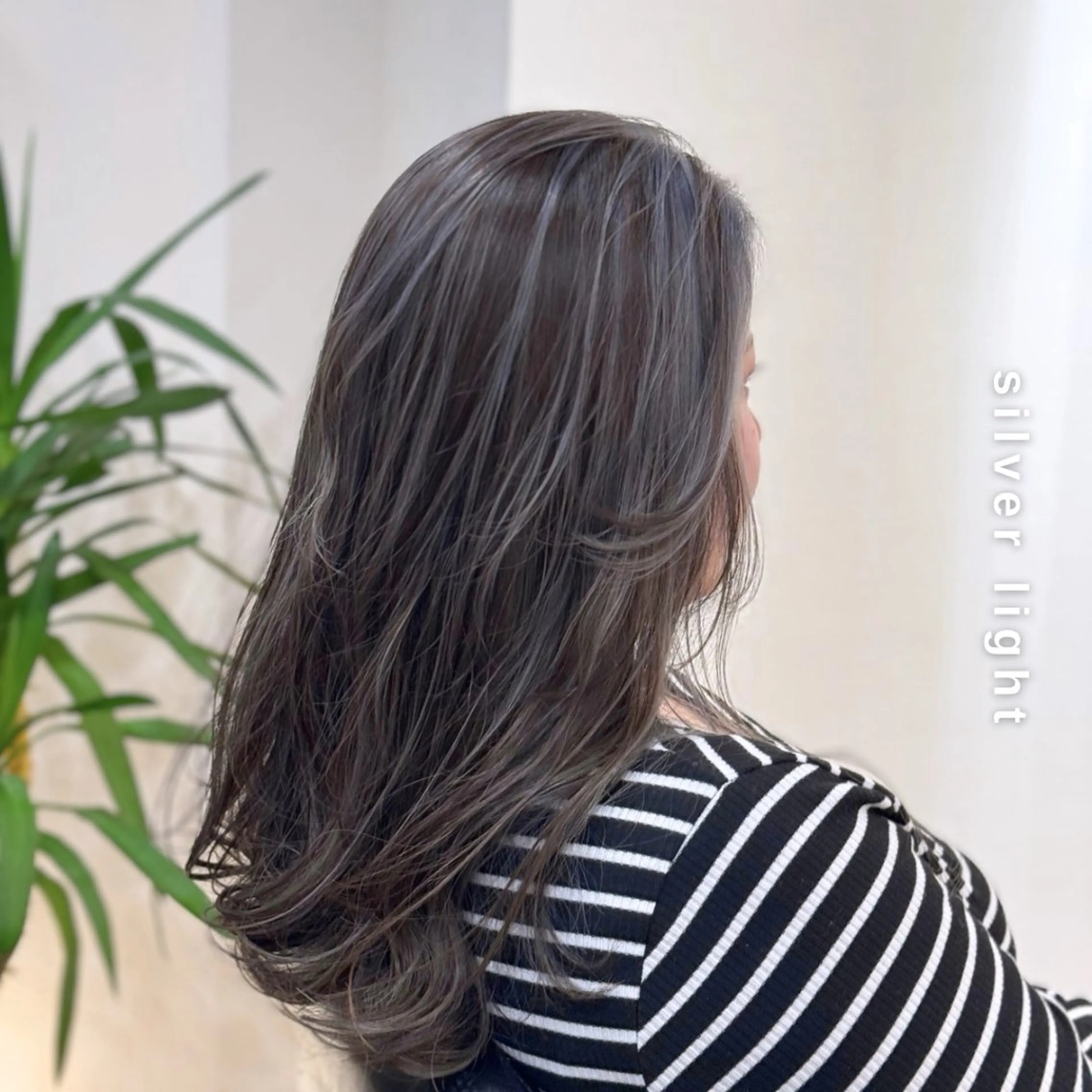 ワンカラー+ ハイライト（立体感/筋感ハイライトetc）の写真