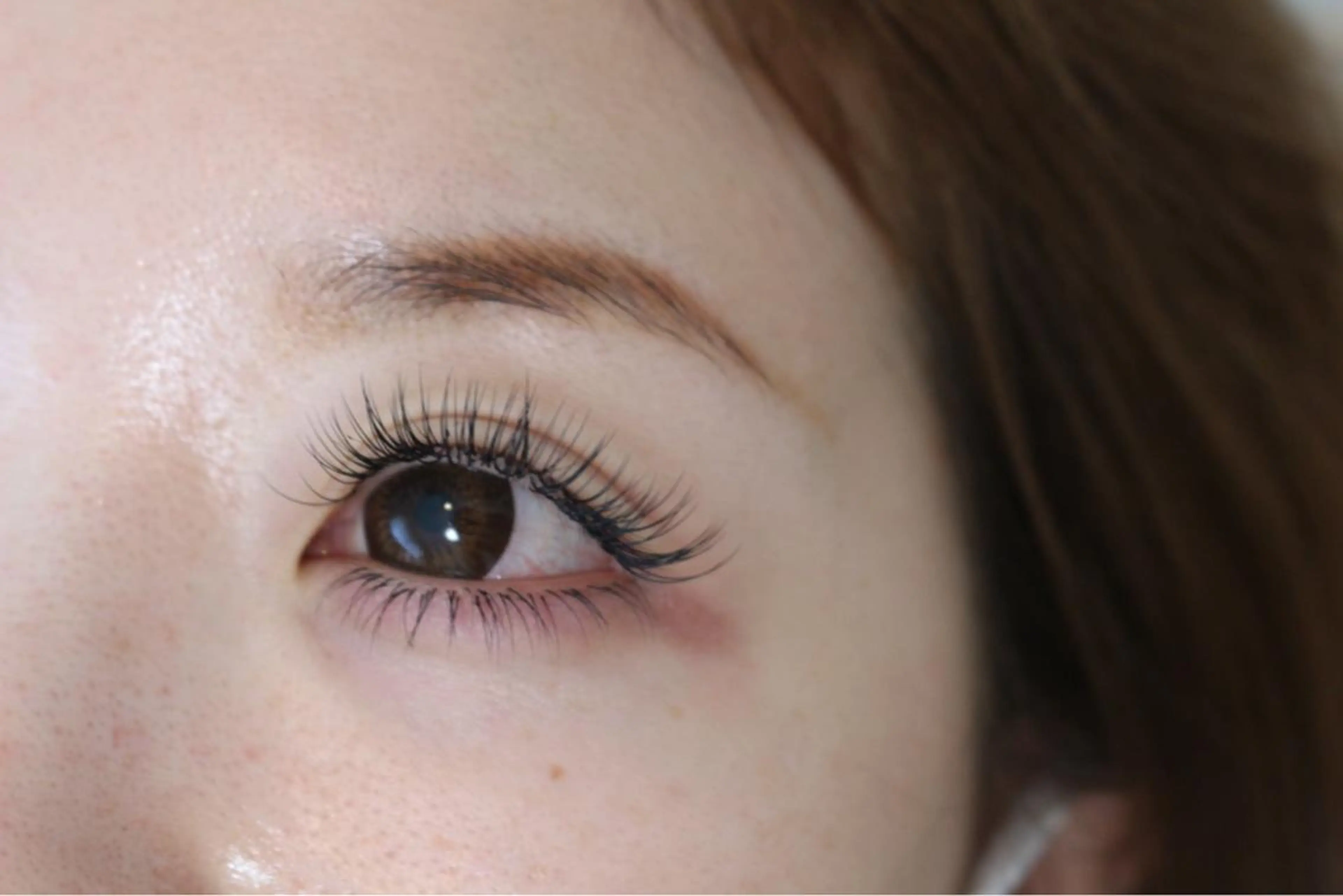 下まつ毛付け放題の写真