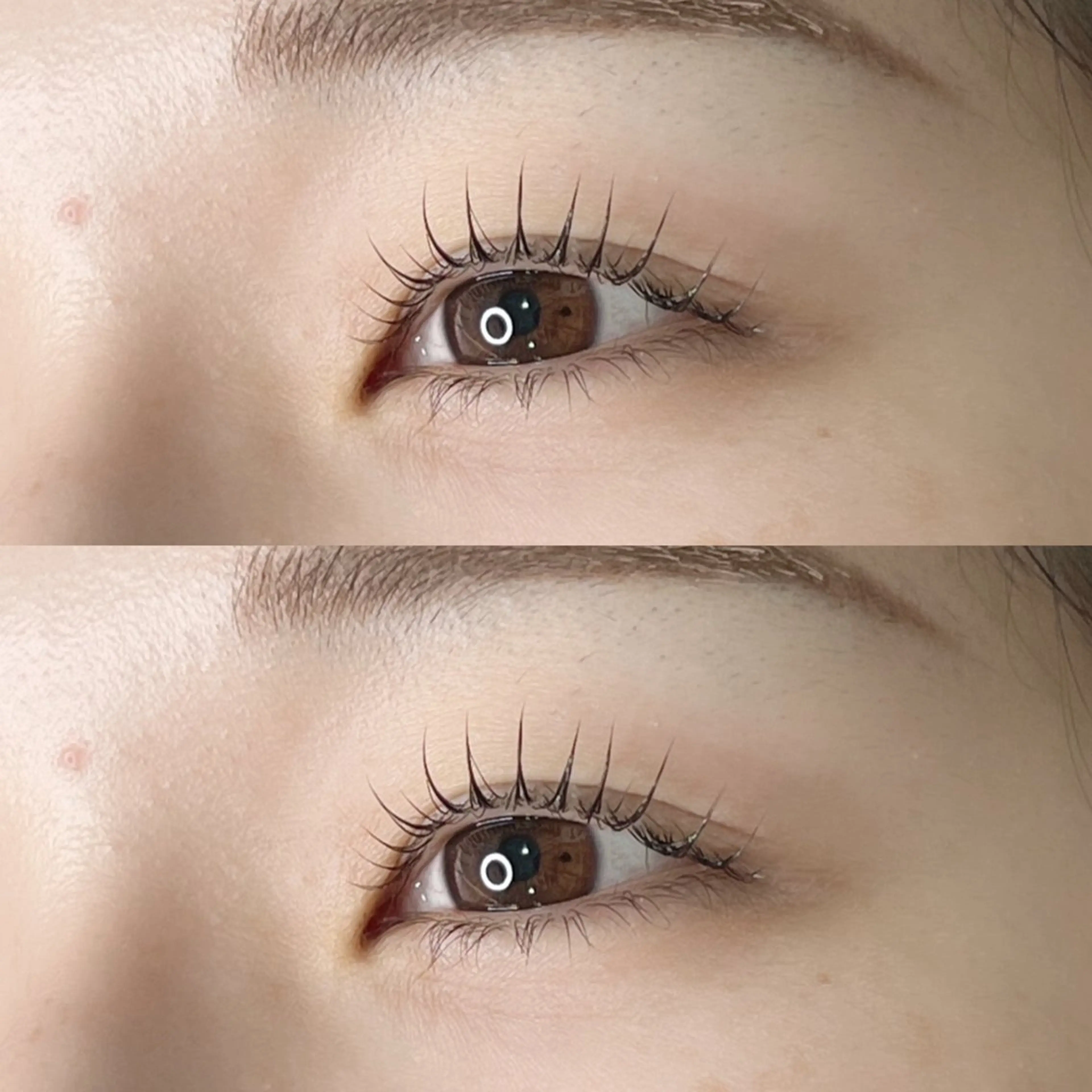 デザイン豊富⟡｜まつ毛パーマ 🗝˚｡𖦹 ⋆の写真