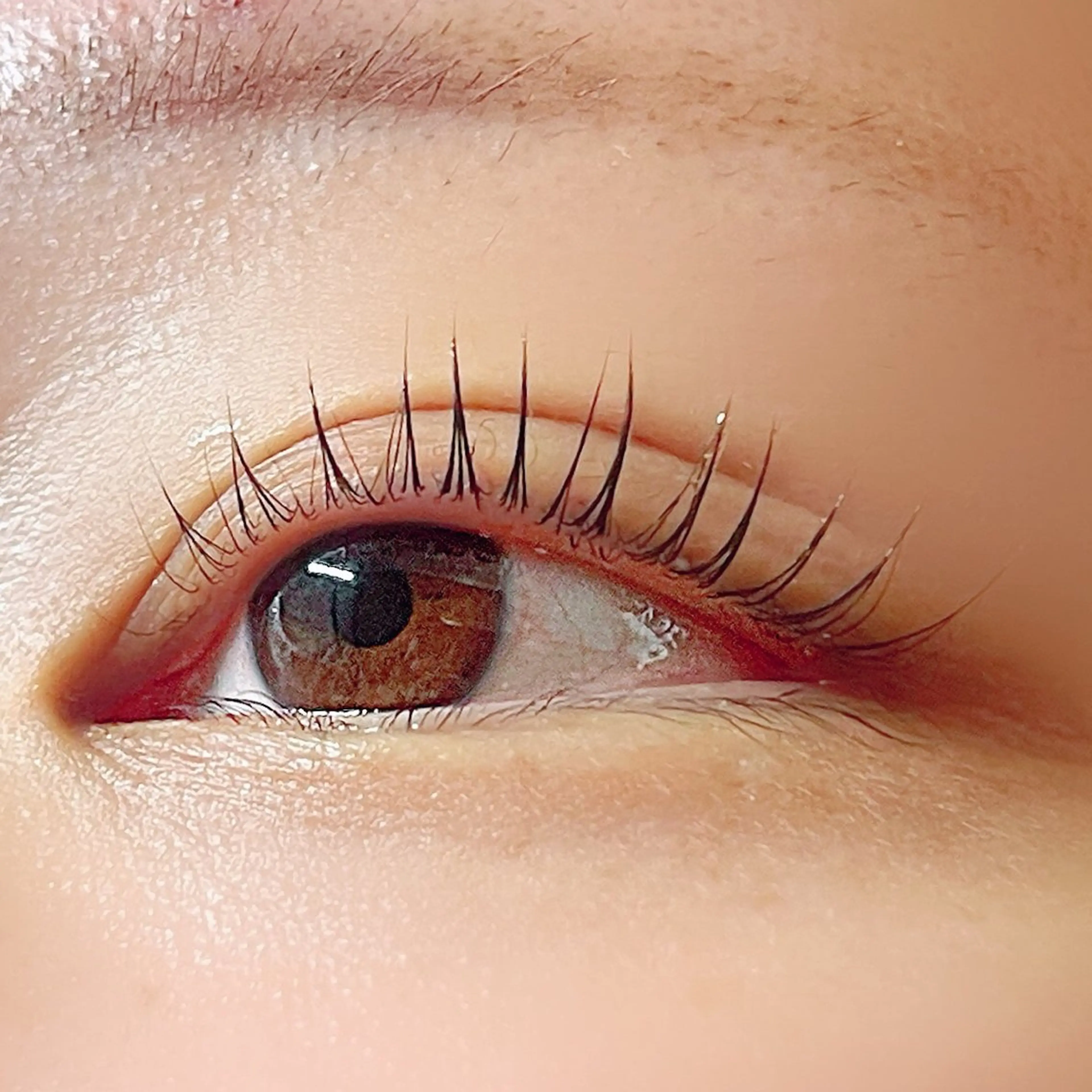 今だけ限定価格！✨ラッシュリフト✨の写真