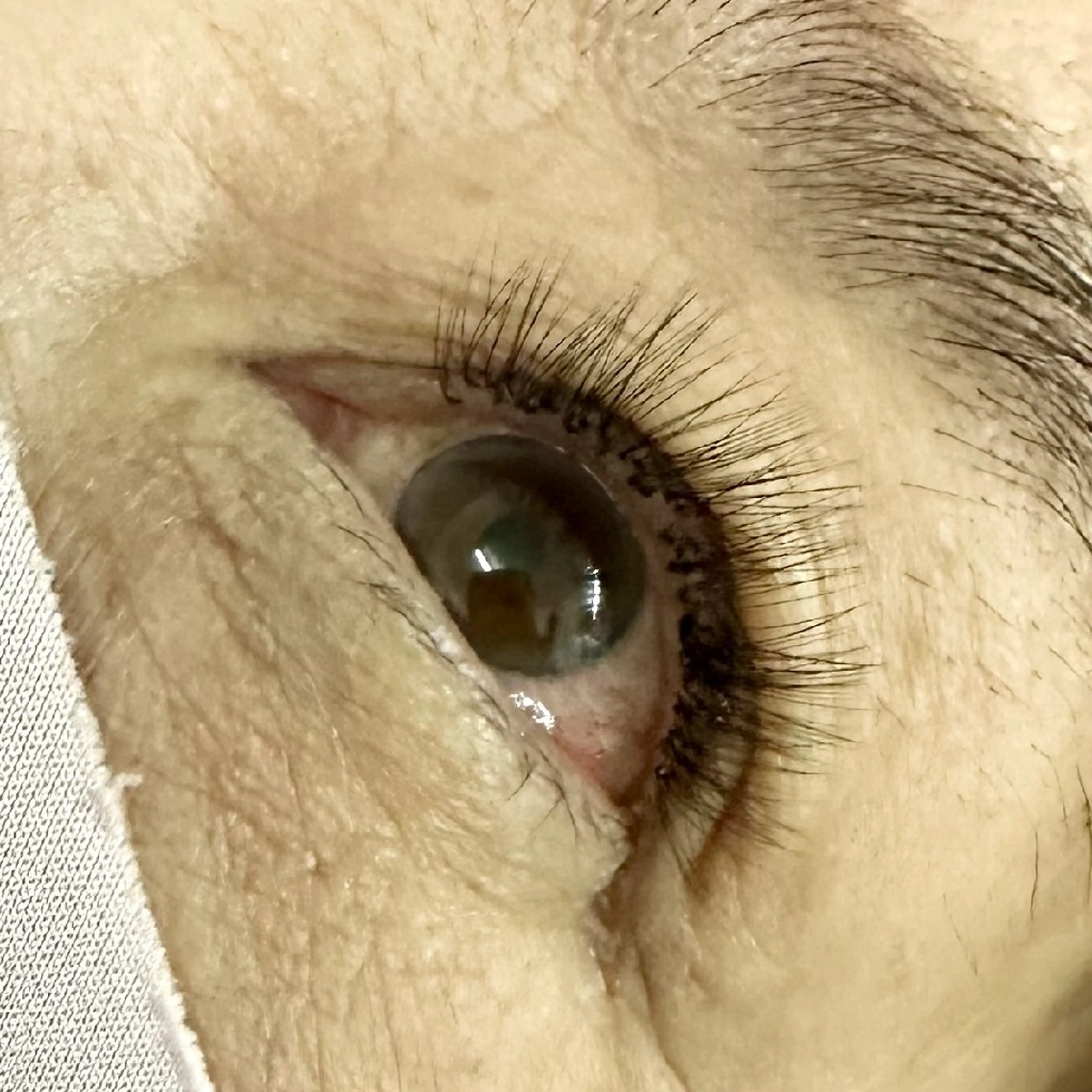 マツエク・マツパ on .のマツエク・マツパデザイン