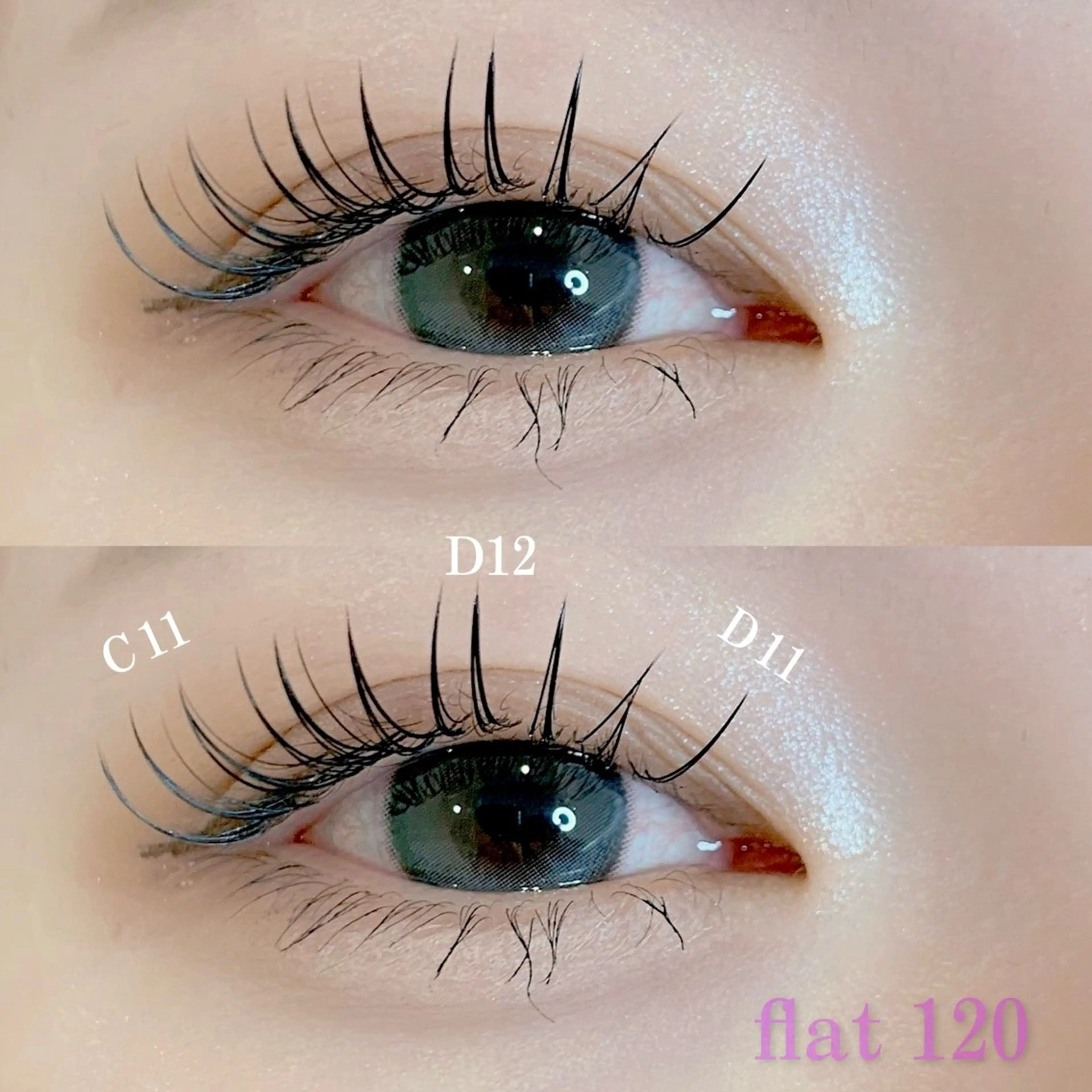 【オフなし】flat120本🪽の写真