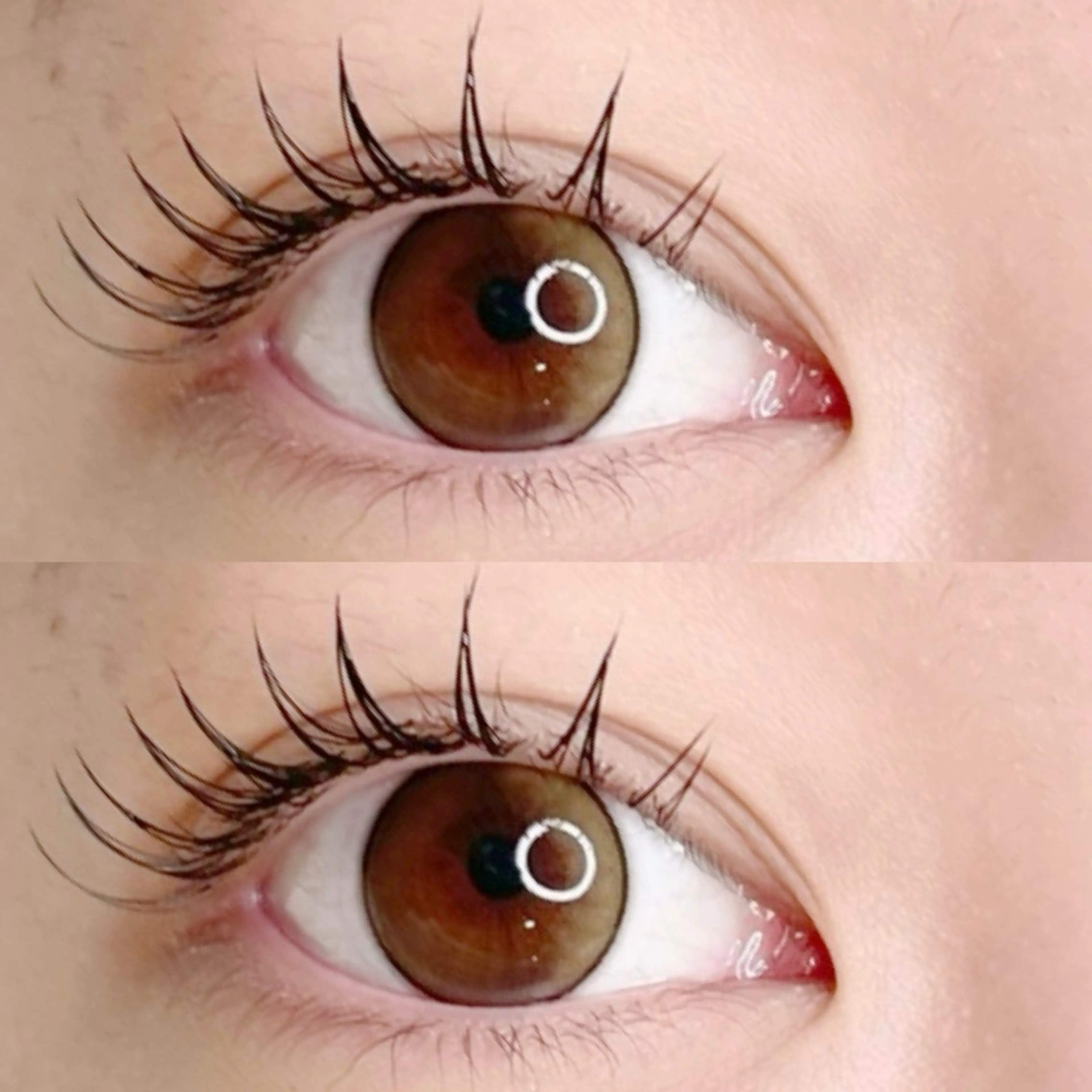 マツエク・マツパ アイブロウサロン WHITE EYE 岩出 眉毛専門店【ホワイトアイ】所属・WHITE EYE🫧岩出店のマツエク・マツパデザイン