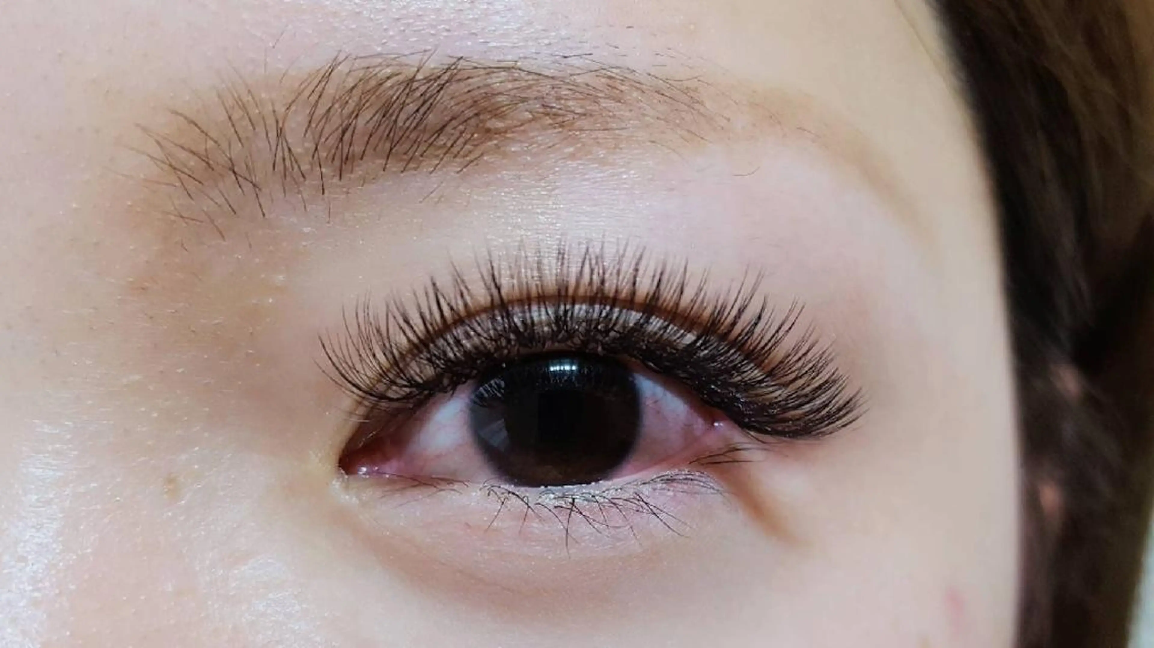 🍄minimo限定🍄バインドロック80束【オフ込】の写真