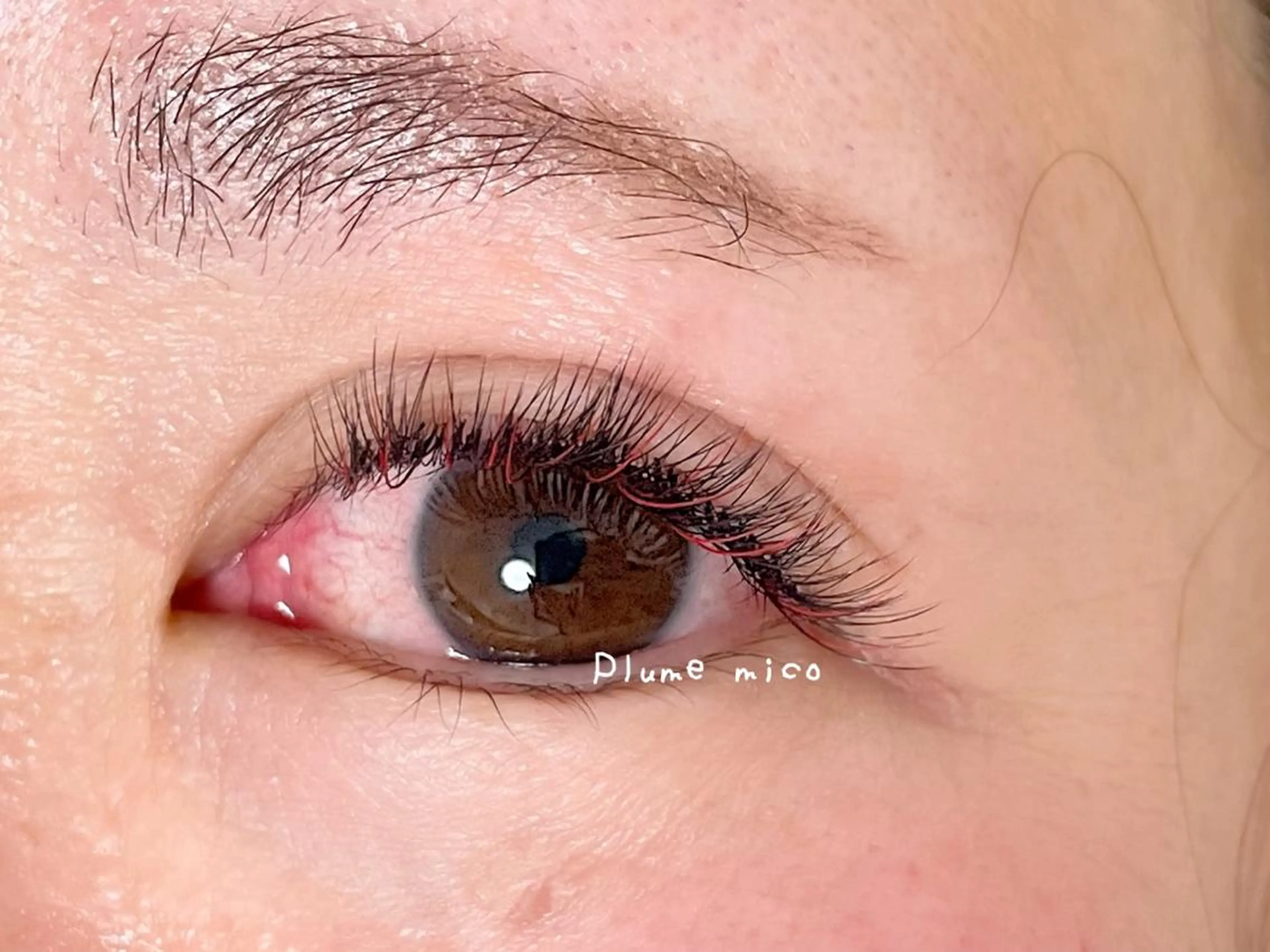 マツエク・マツパ マツエク Plume micoのマツエク・マツパデザイン