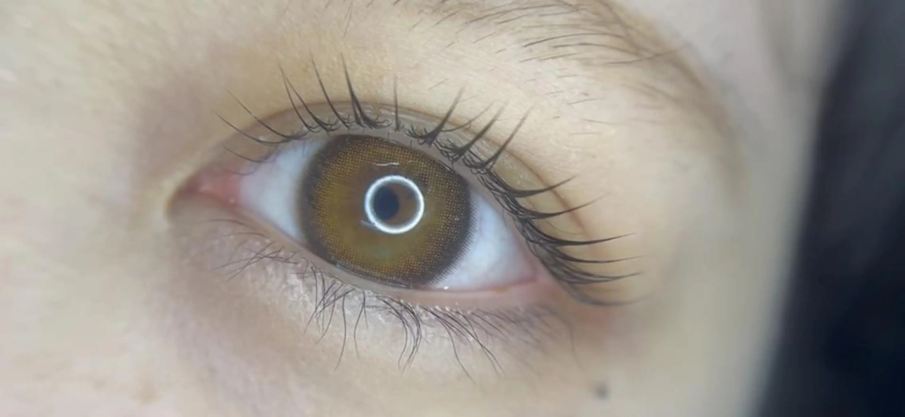 マツエク・マツパ フラットラッシュ 韓国風マツエク パリジェンヌラッシュリフト まつげパーマ ボリュームラッシュ マツパ ディーツ セタレのマツエク・マツパデザイン