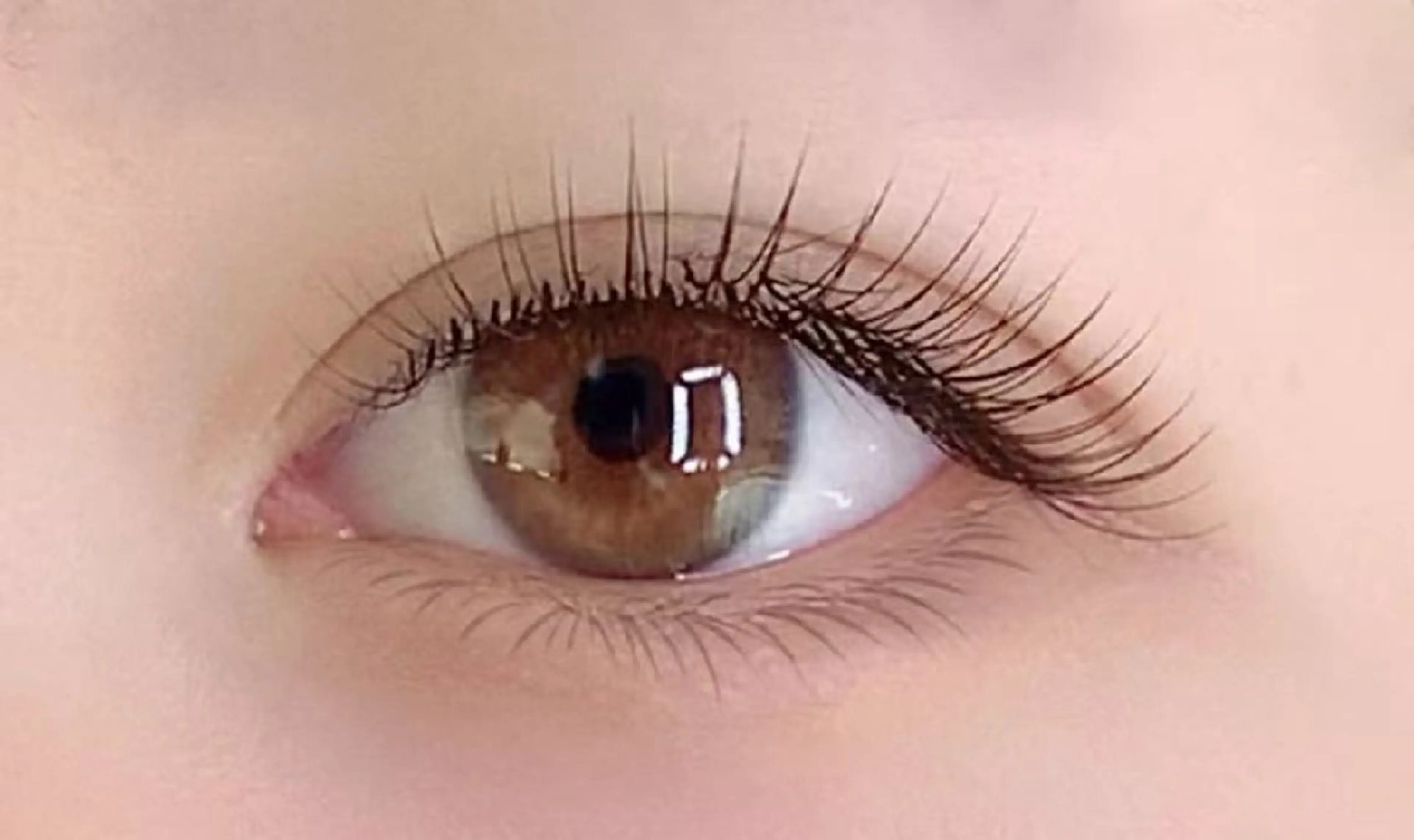 【120本】セーブル5190/フラット5590の写真