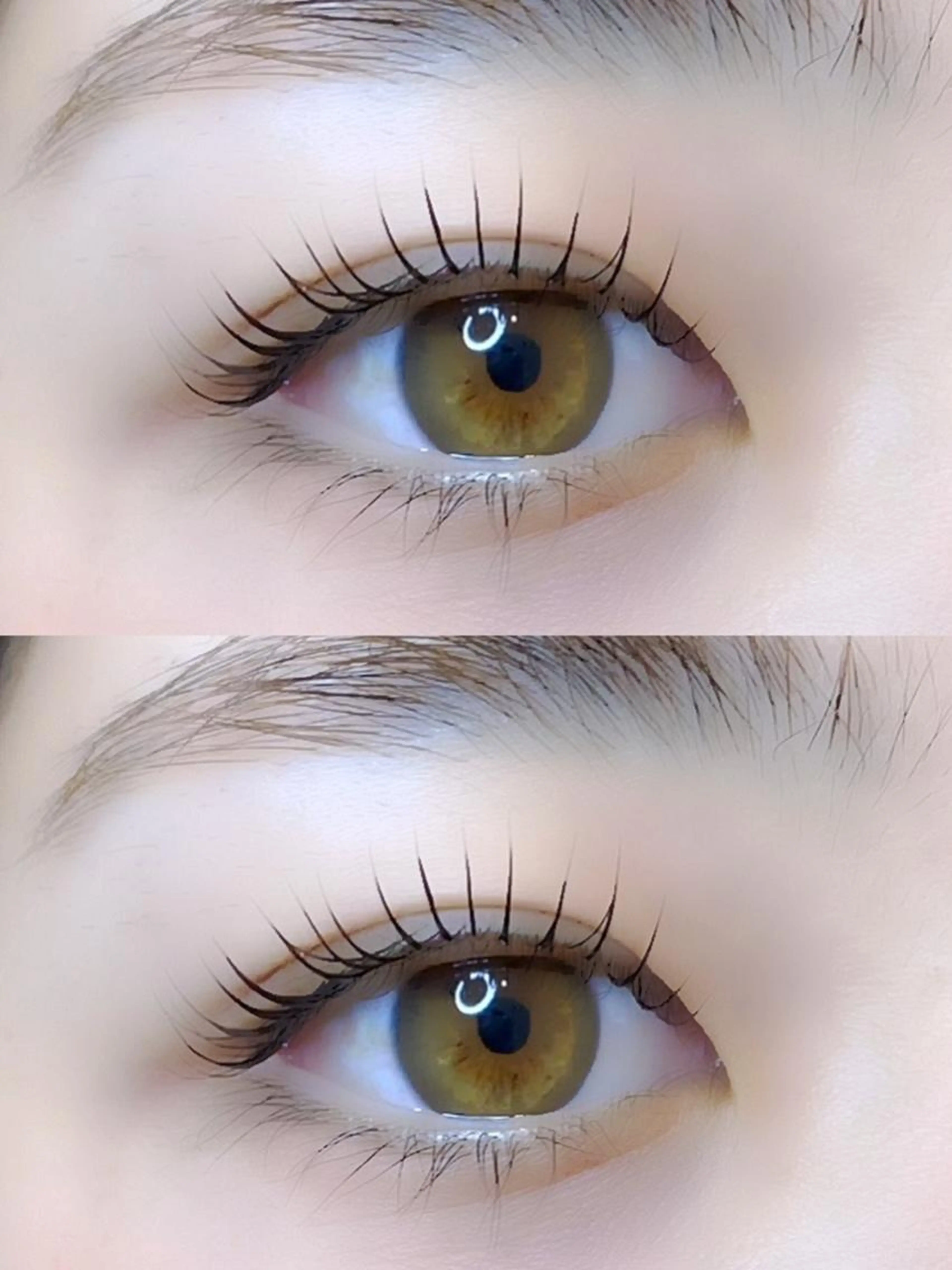 【本日限定クーポン】大特価🉐潤いまつパ＋高級束感コーティング剤付💗¥2750の写真