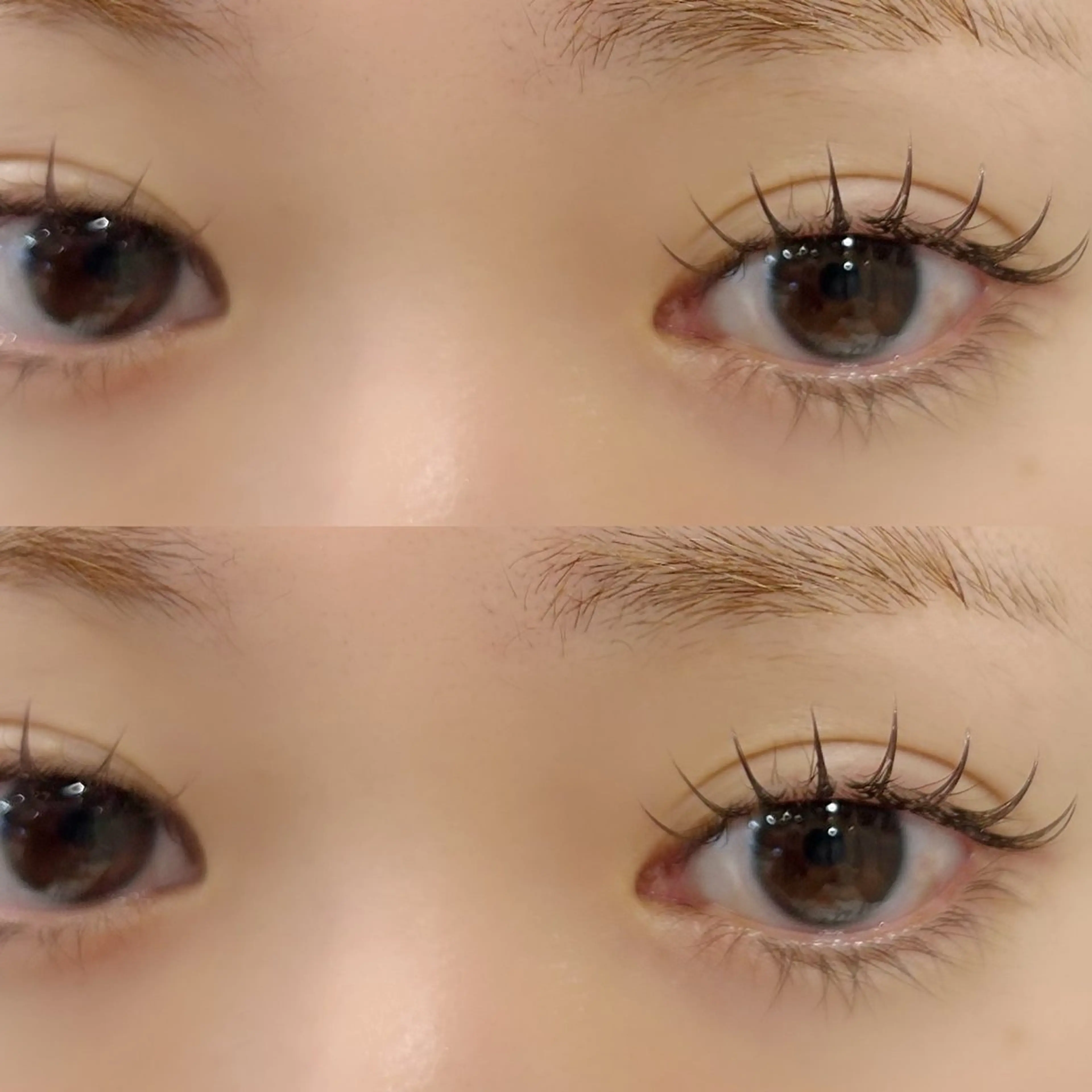 マツエク・マツパ マツエク OLIVIA GINZA前川のマツエク・マツパデザイン