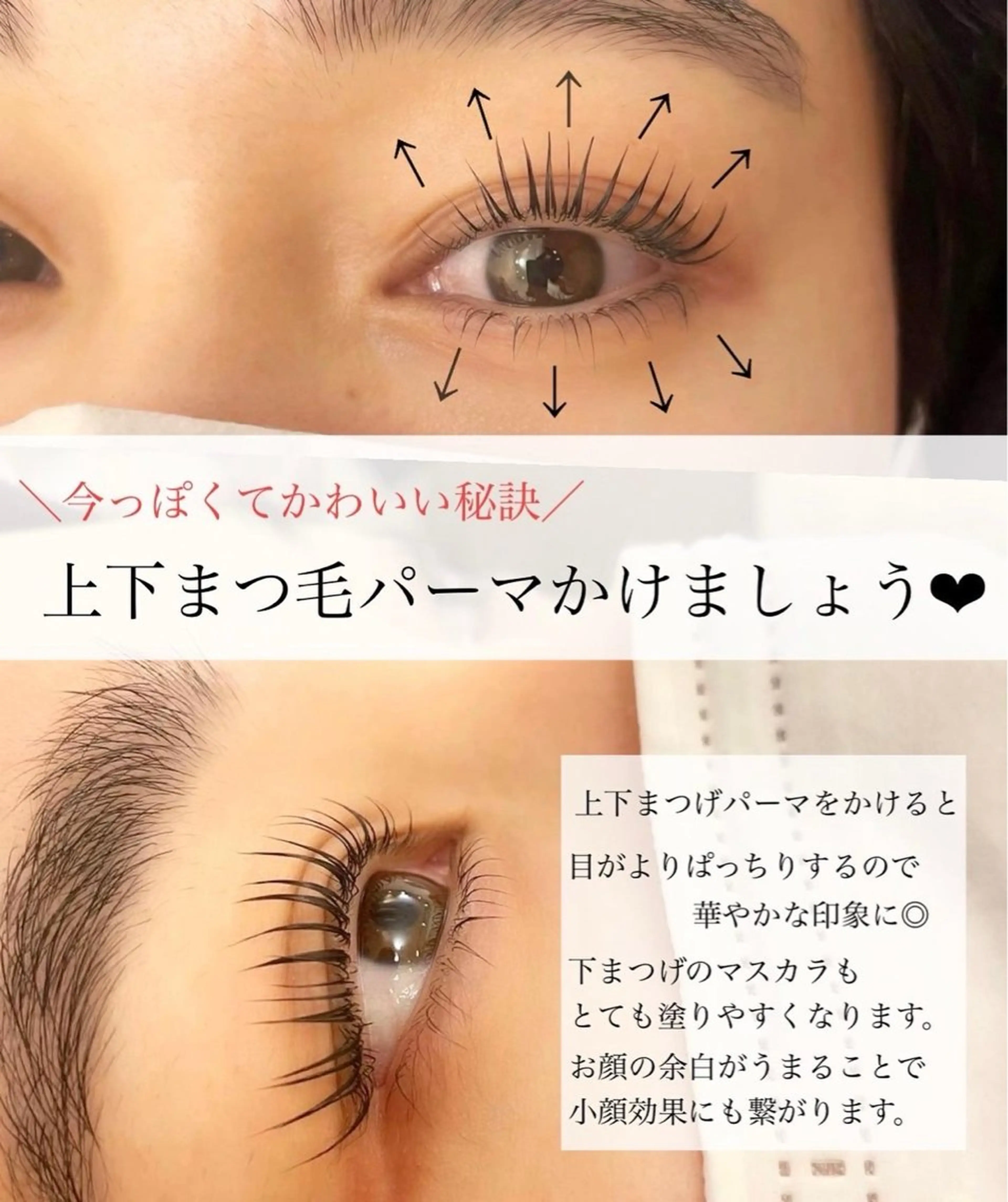 【当店ご利用2回目まで】上下パリジェンヌラッシュリフト💖コーティング付き🪄の写真