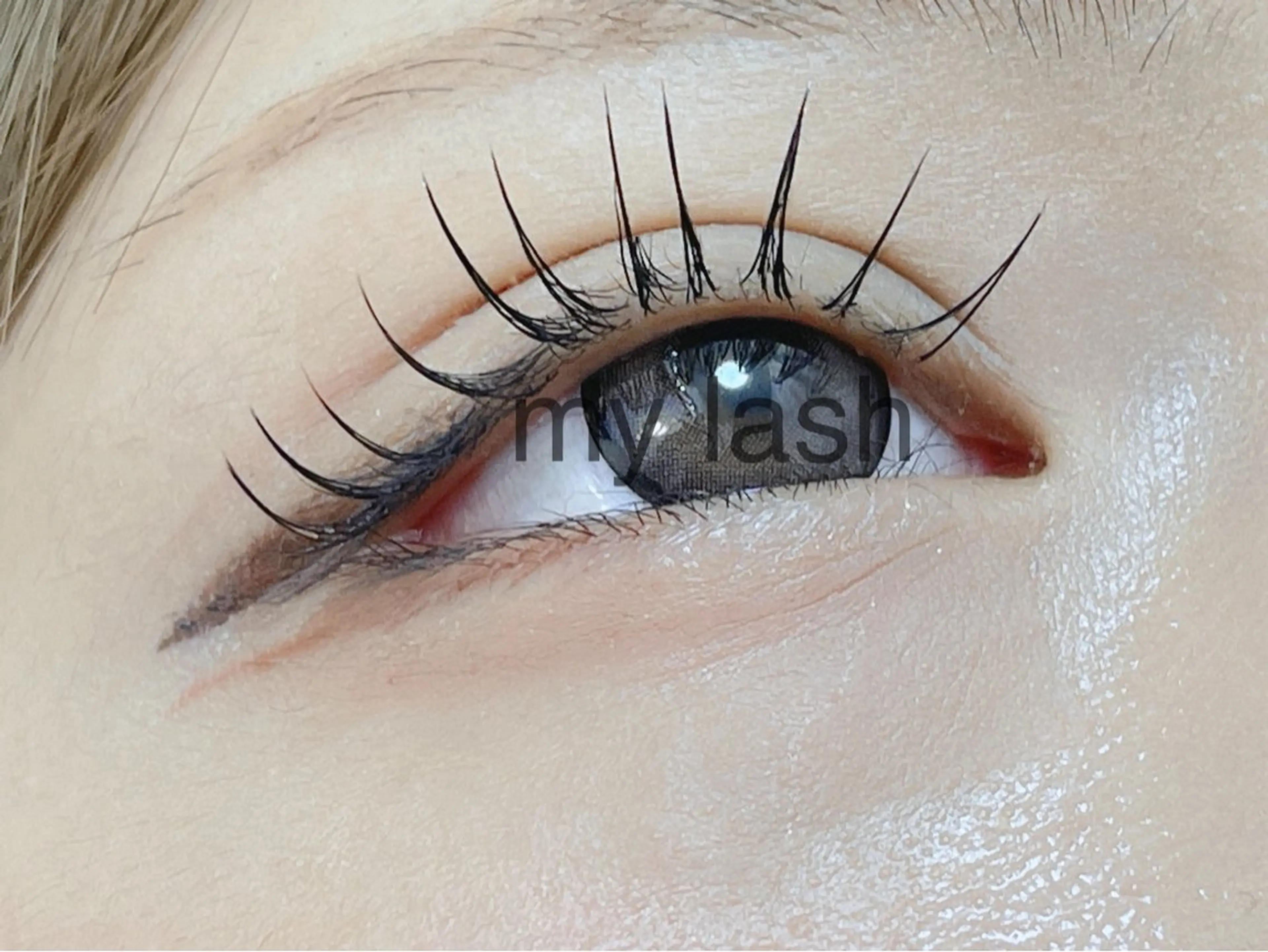 フラットラッシュ80本 ¥3600の写真