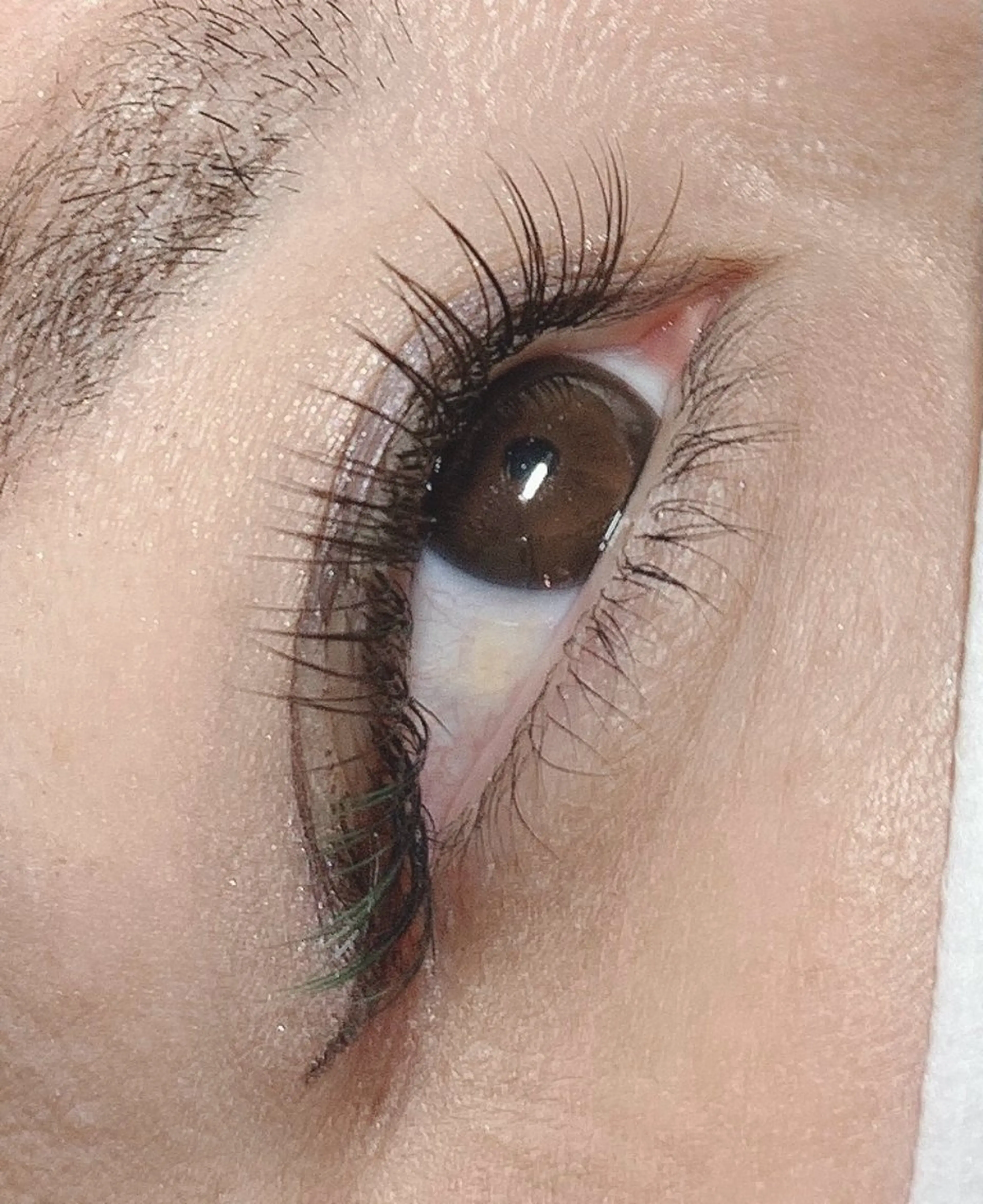 フラットラッシュ　付け放題！コーティング、オフ込みの写真