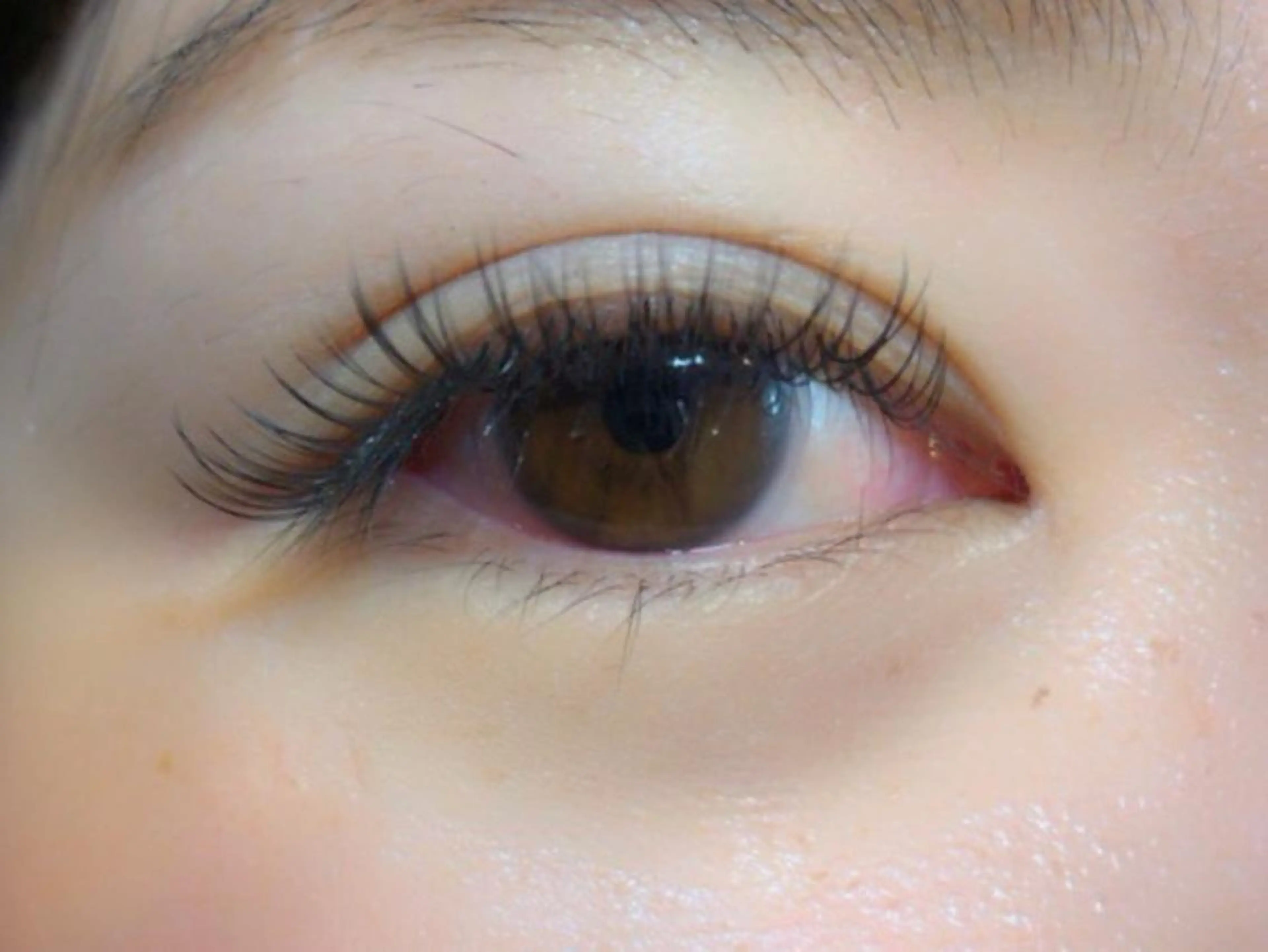 マツエク・マツパ room 36所属・room36 Mimuのマツエク・マツパデザイン