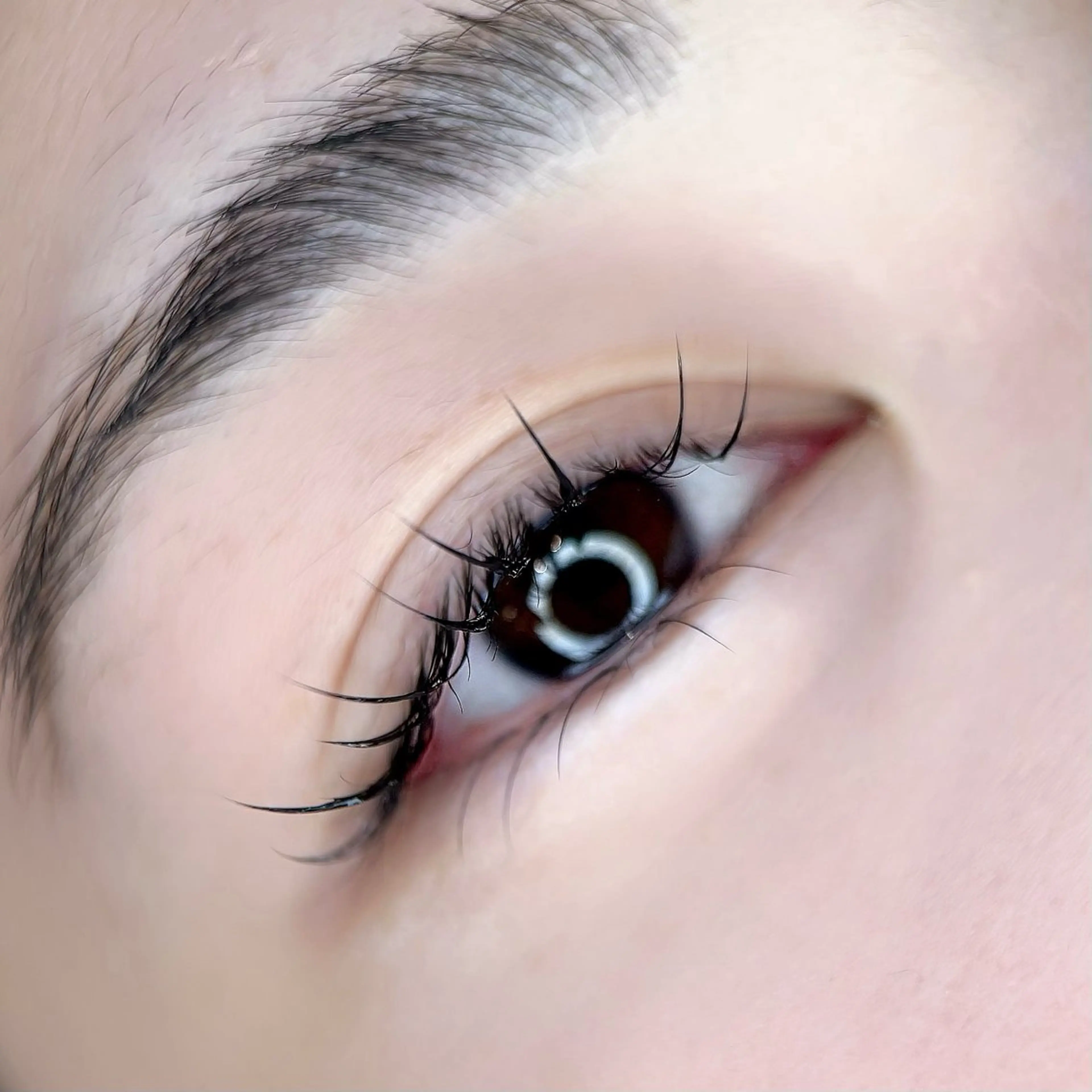 抗菌高級セーブル毛上マツエク100本 初回オフ無料！ コーティング仕上げ付き✨の写真