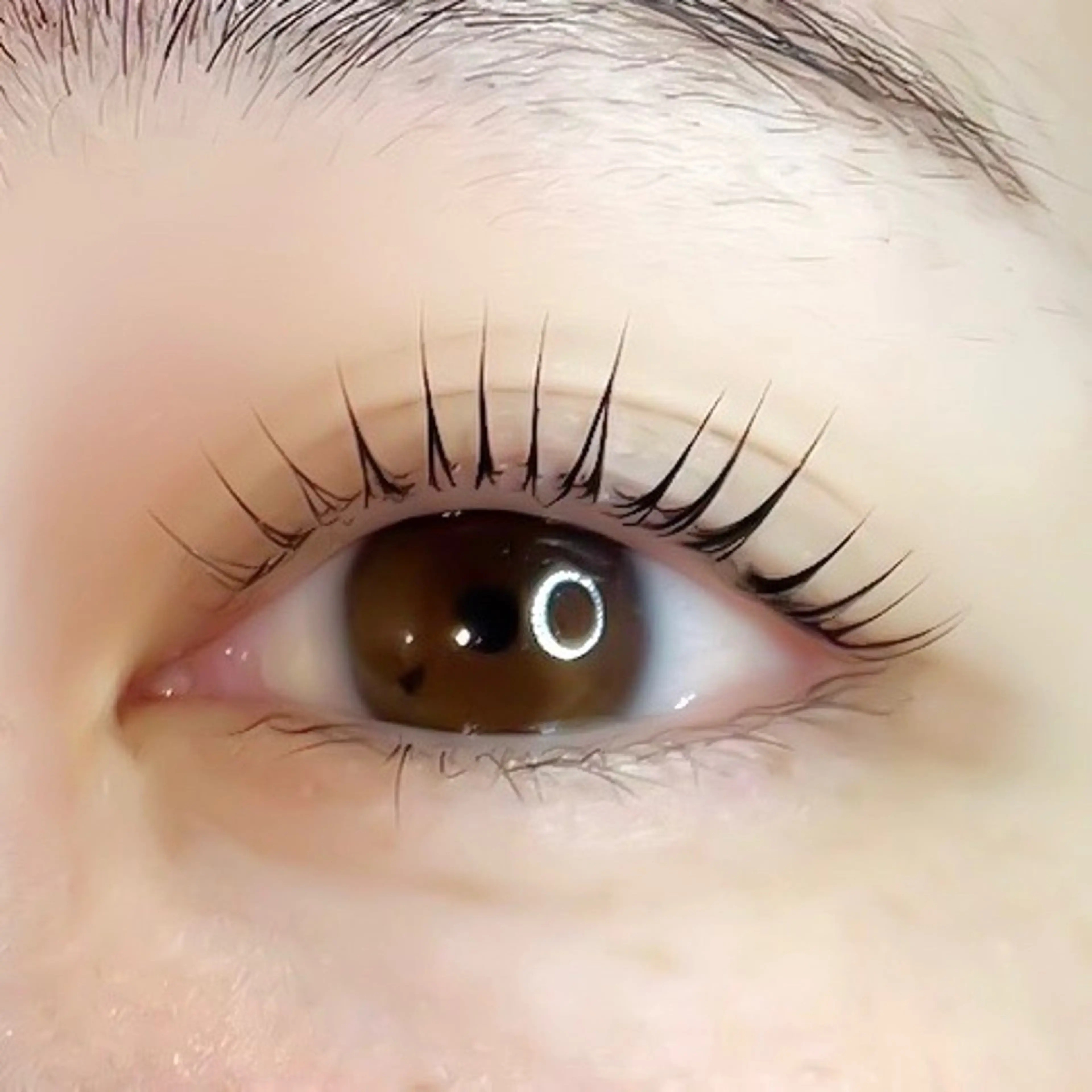 【🎶自まつげ育成set🎶】マツパorパリ+エグータム1本持ち帰り‼️の写真