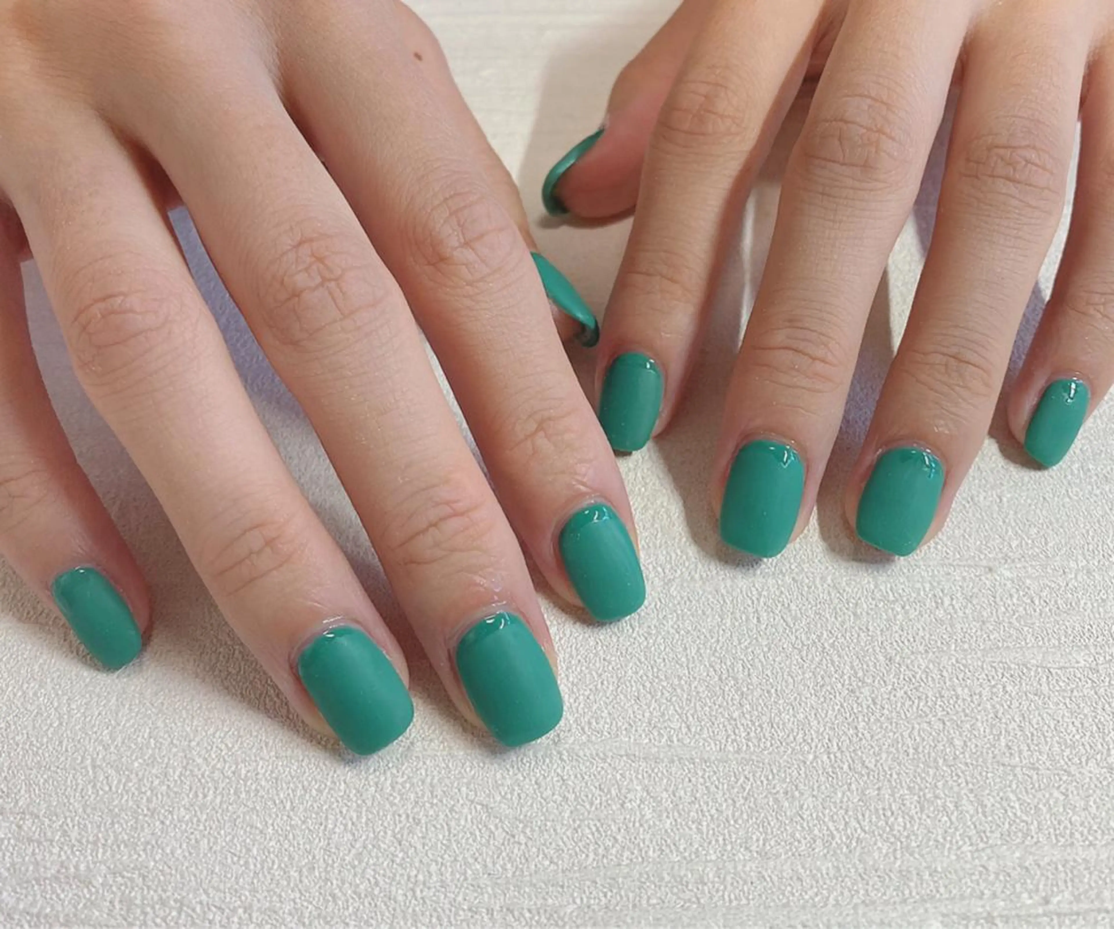 【オフ込】𝚘𝚗𝚎 𝚌𝚘𝚕𝚘𝚛の写真