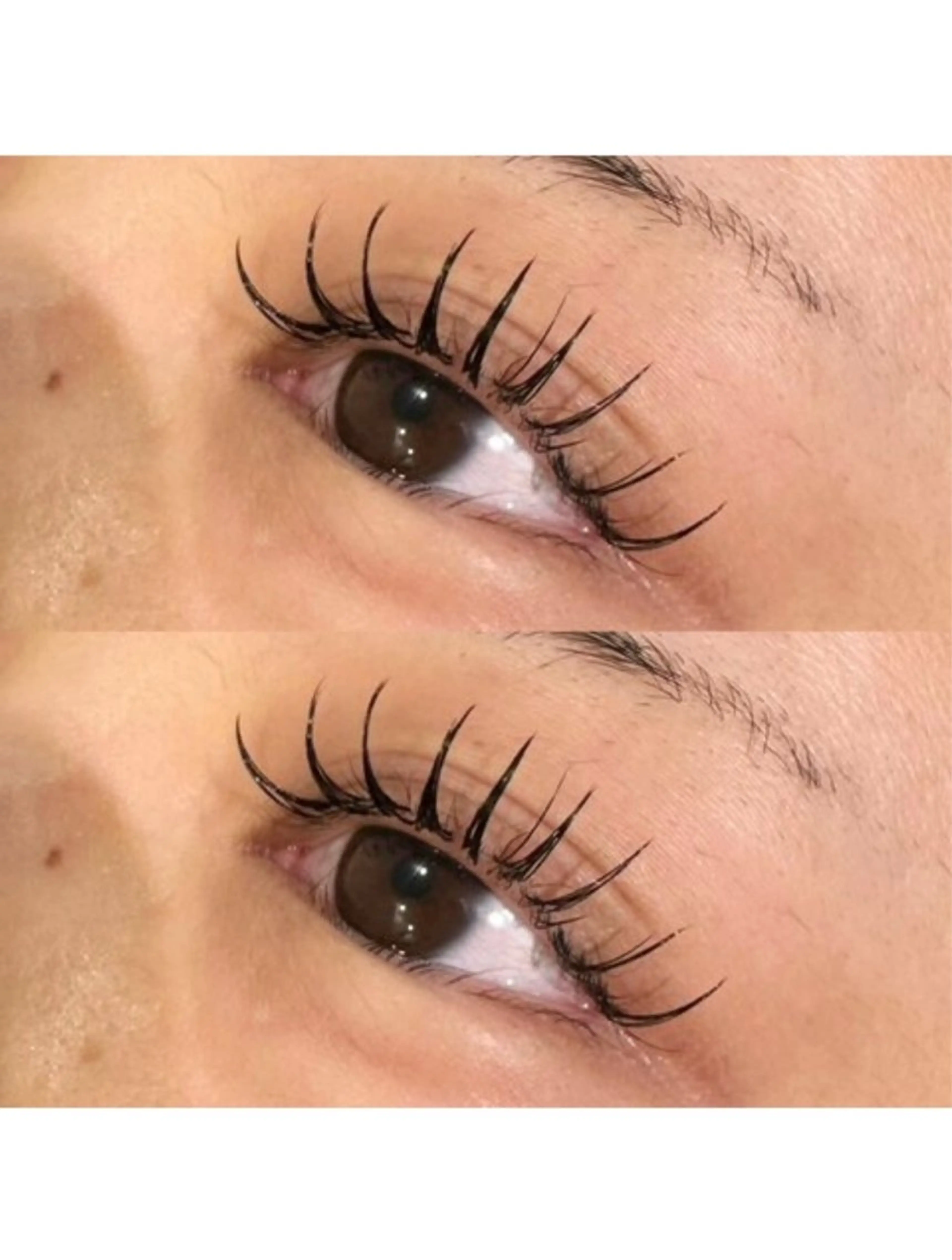 🍎12月限定価格🍎フラットラッシュ100本までつけ放題🌟他店オフ・コーティング込み🌟の写真