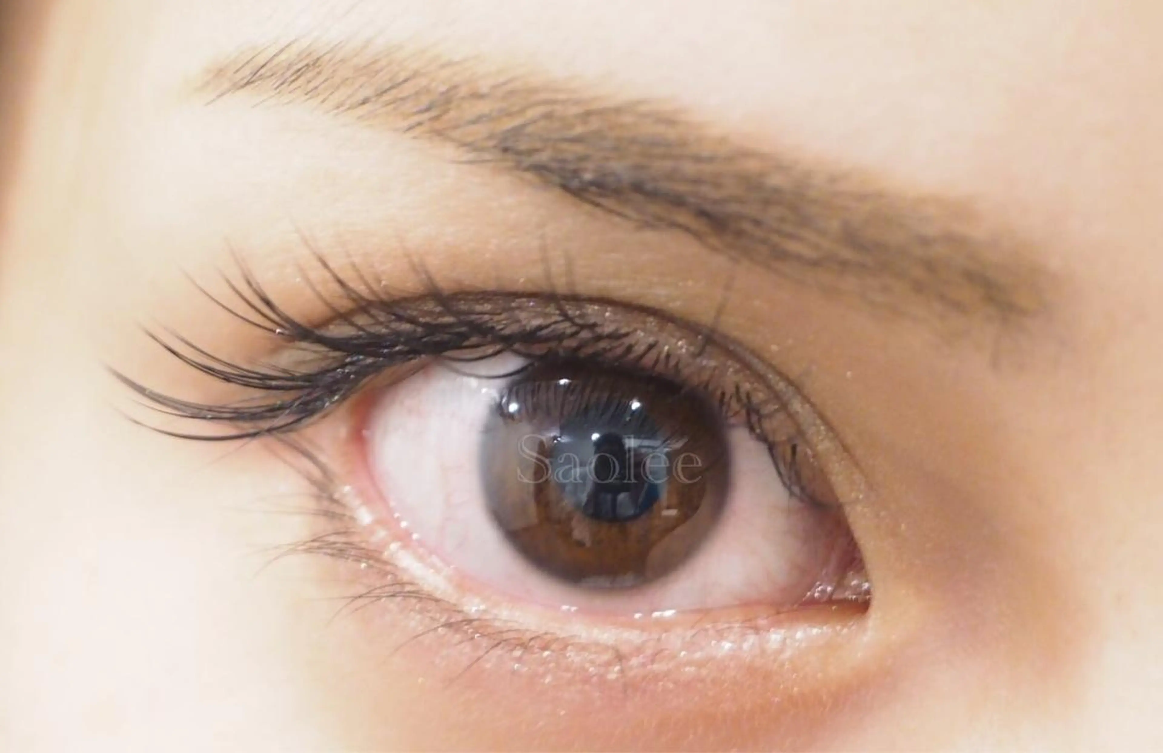 マツエク・マツパ ゴージャス Jカール セーブル M SAORIのマツエク・マツパデザイン