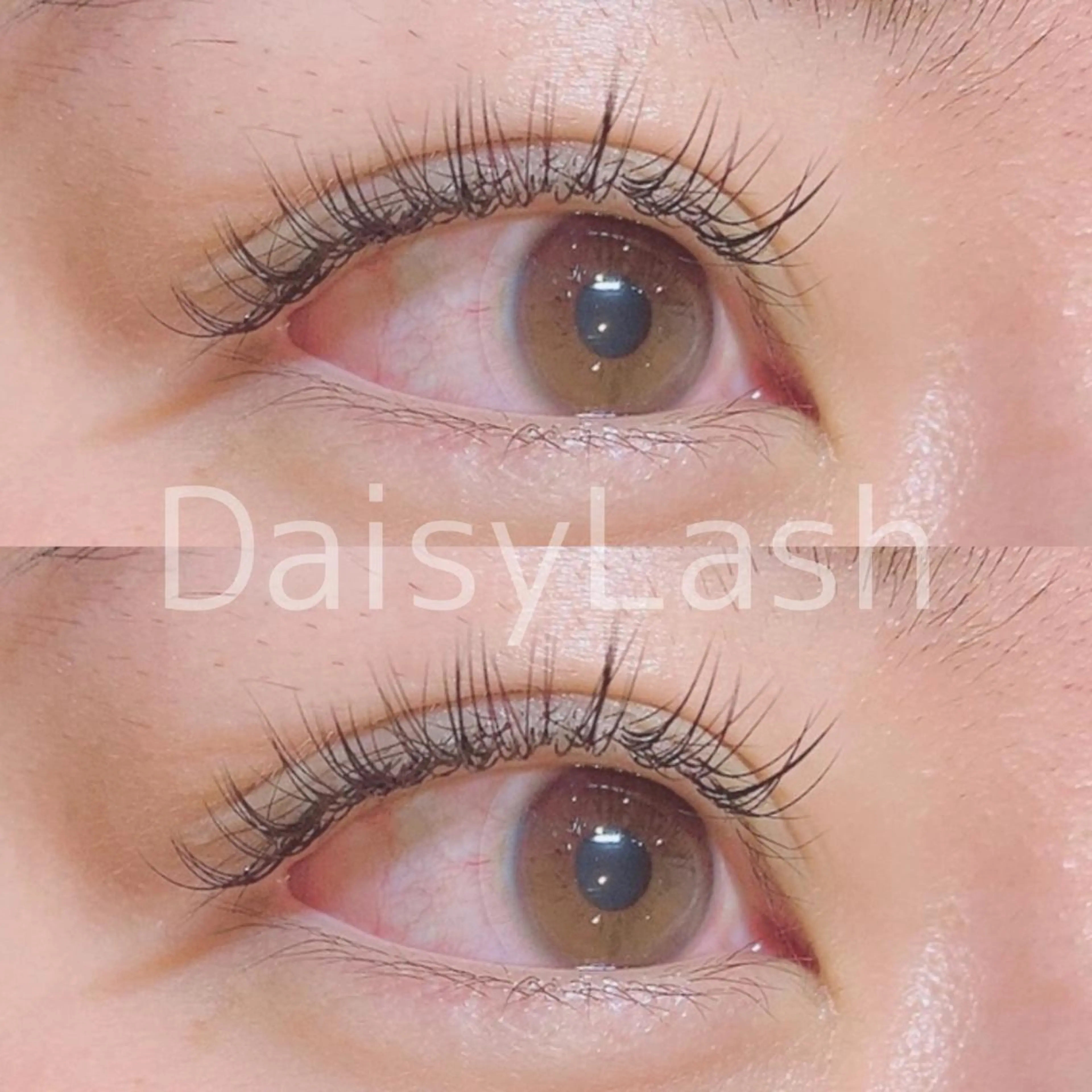 マツエク・マツパ DaisyLash 京橋店のマツエク・マツパデザイン