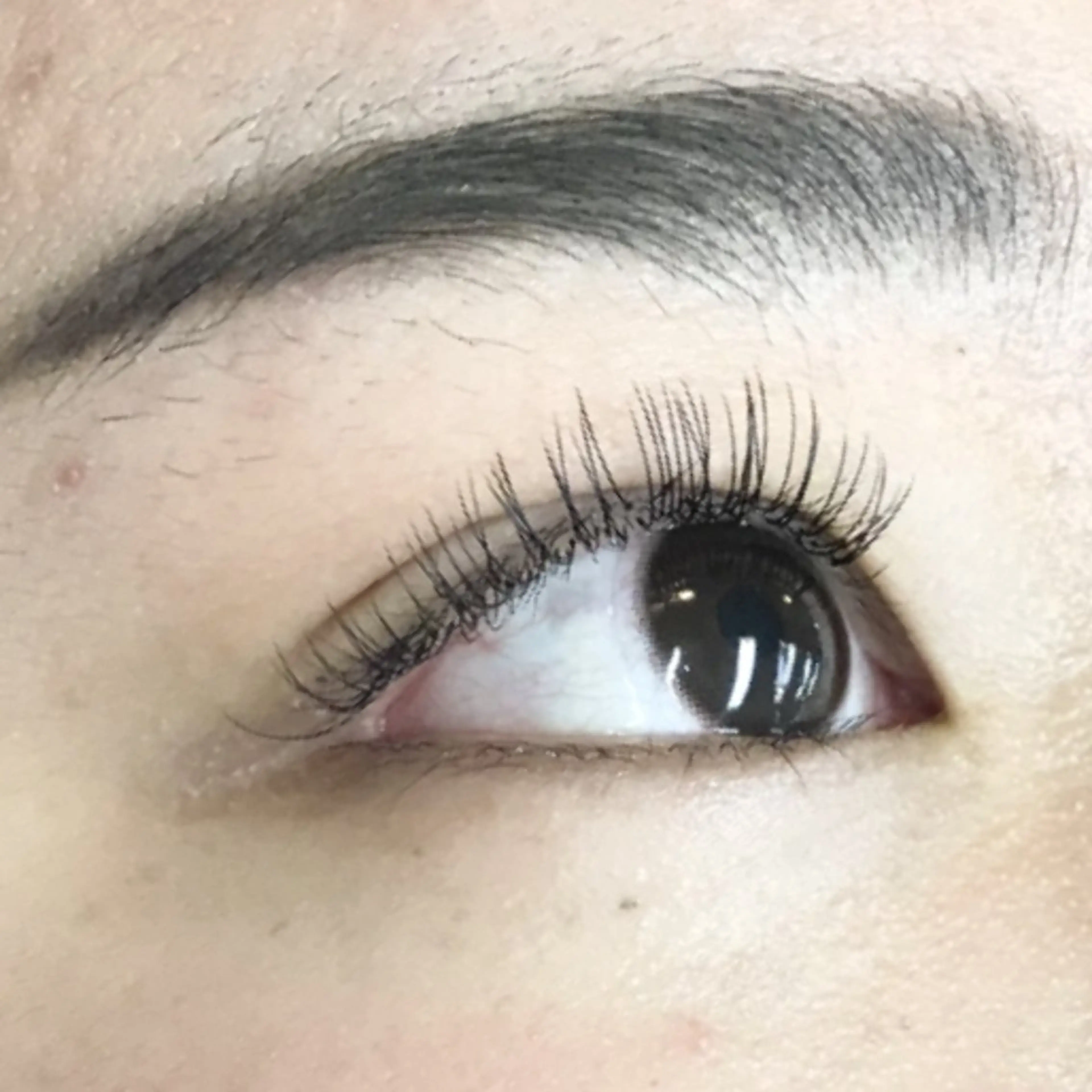 【オフ無し】フラットラッシュ上100本までの写真