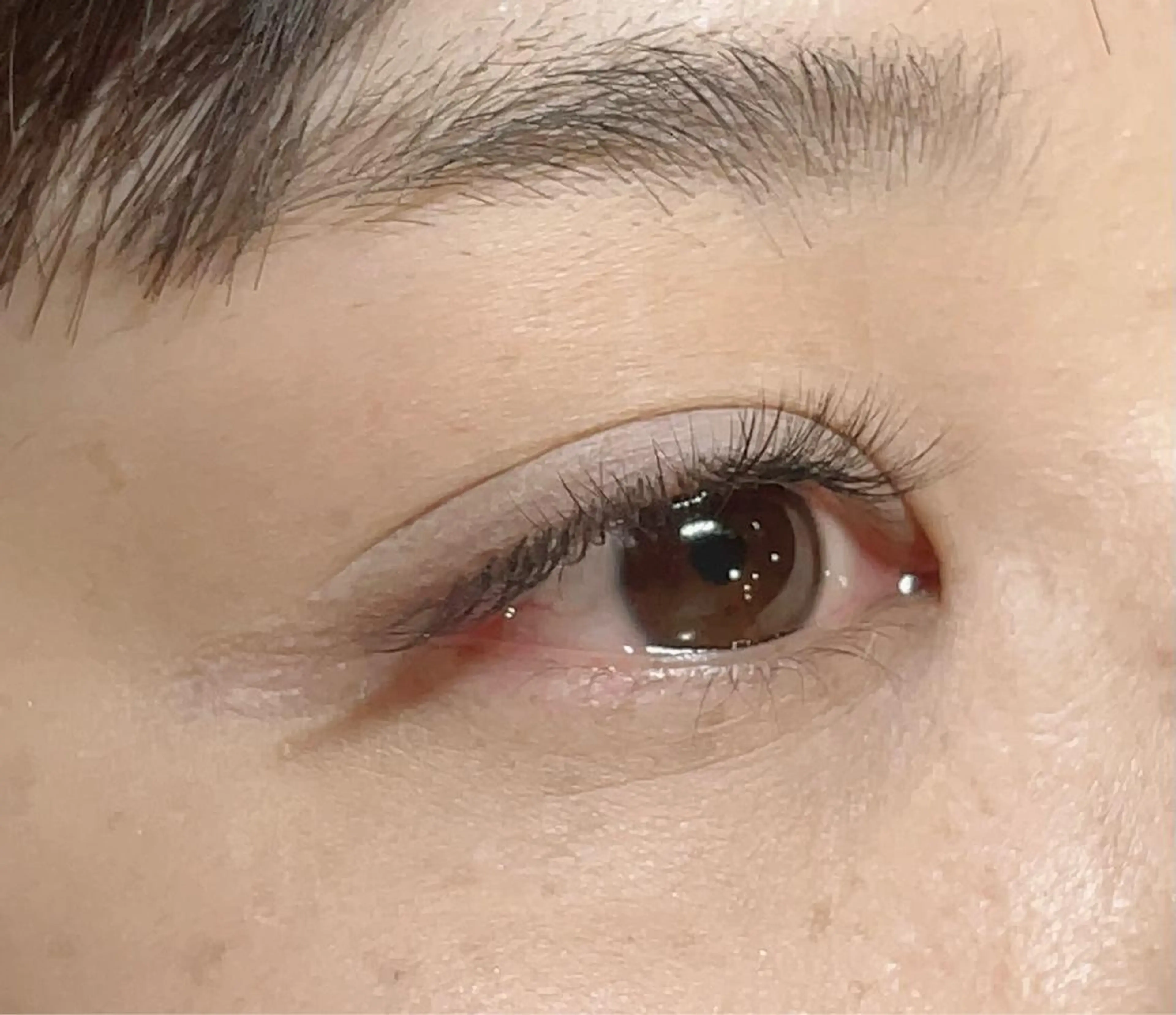 マツエク・マツパ ナチュラル ボリュームラッシュ iu.(イユドット)所属・🤍二条城北iu. /IKUHOのマツエク・マツパデザイン