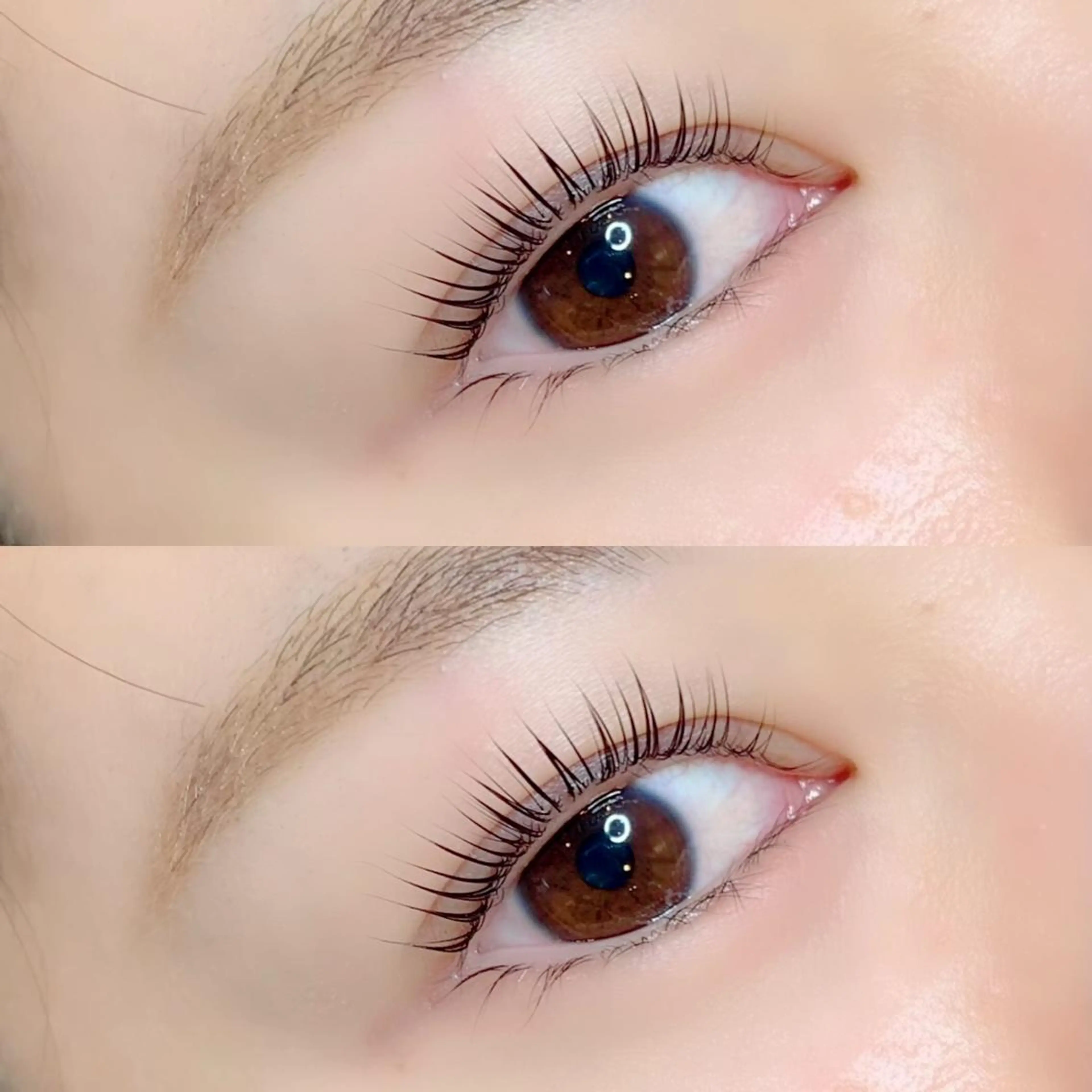 特別価格🌟大人気ラッシュリフト/立ち上げorカール　(アイシャンプー付き) ¥4700の写真