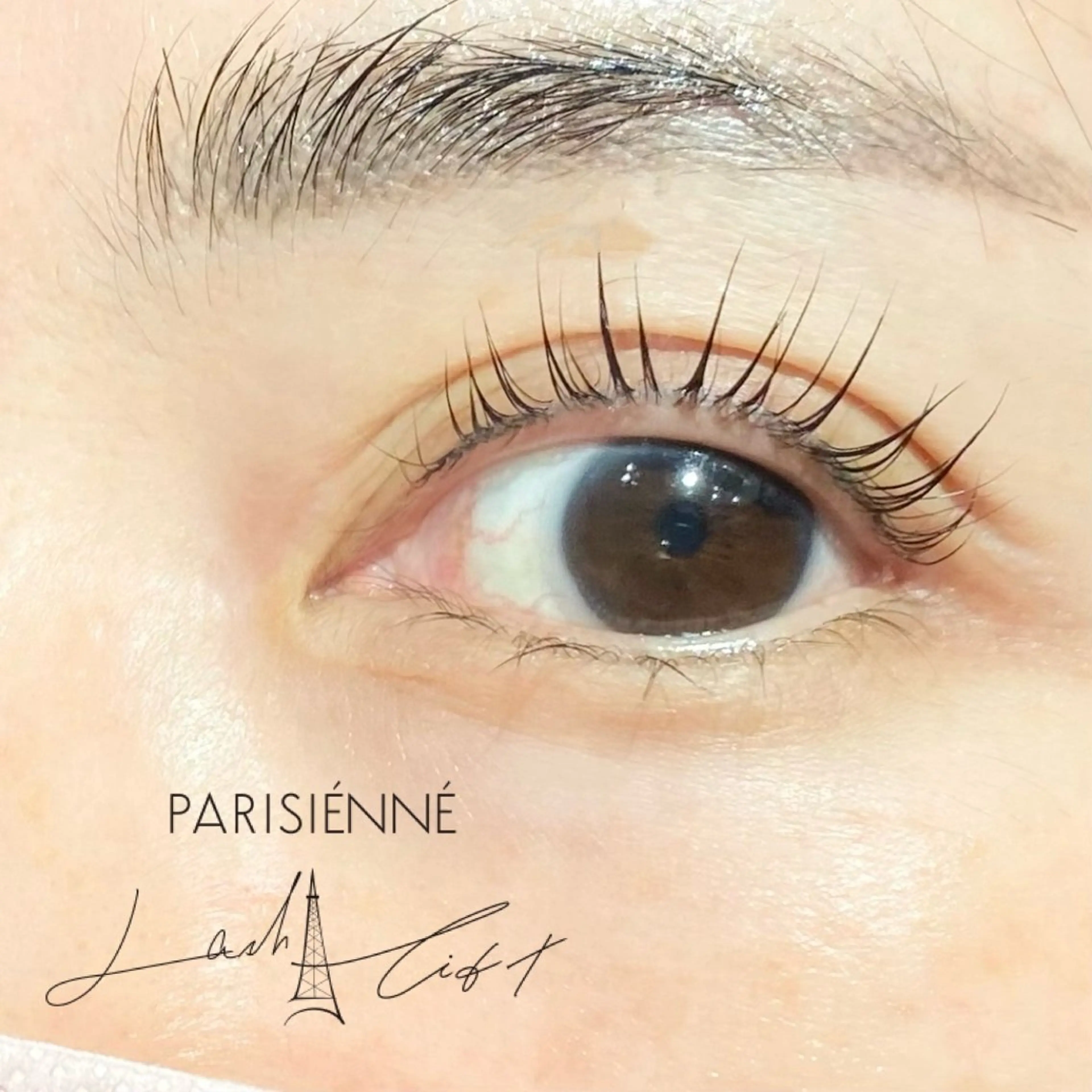 マツエク・マツパ パリジェンヌラッシュリフト マツパ FOXY LASH Kikuchiのマツエク・マツパデザイン