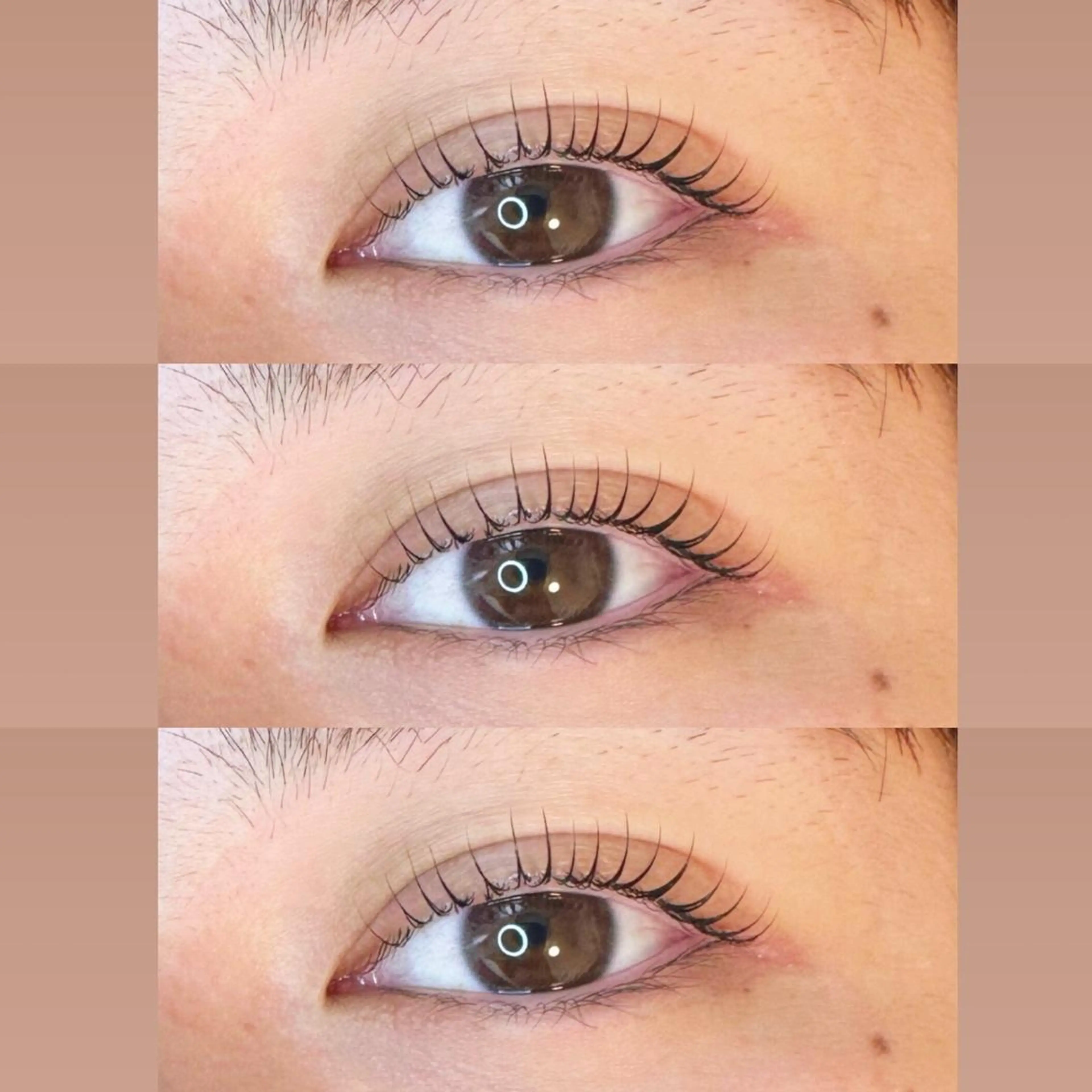 🌟まつ毛パーマorパリジェンヌラッシュリフト✖️アイブロウwax脱毛🌟の写真