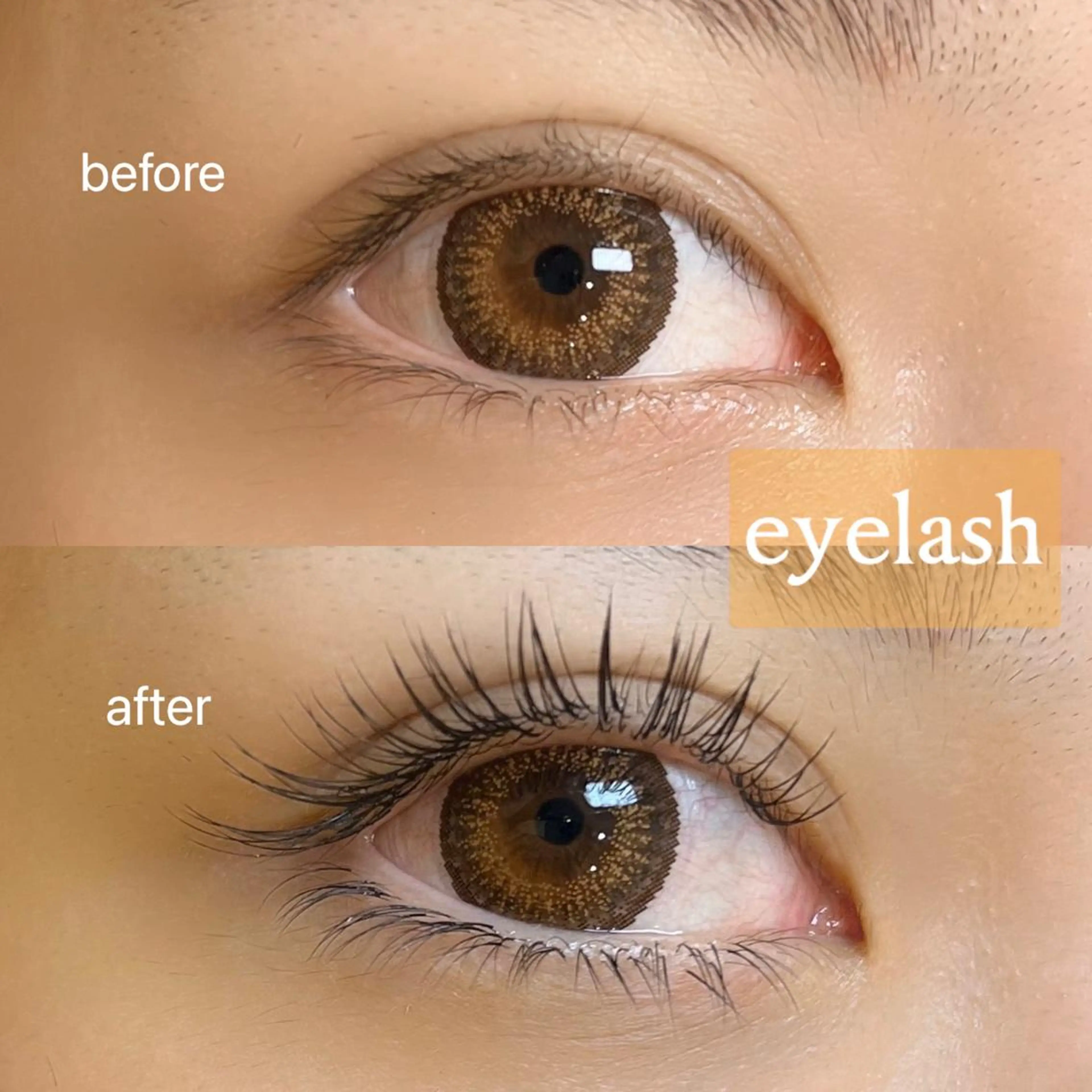 フラットラッシュ160本♥美容液コーティング付の写真