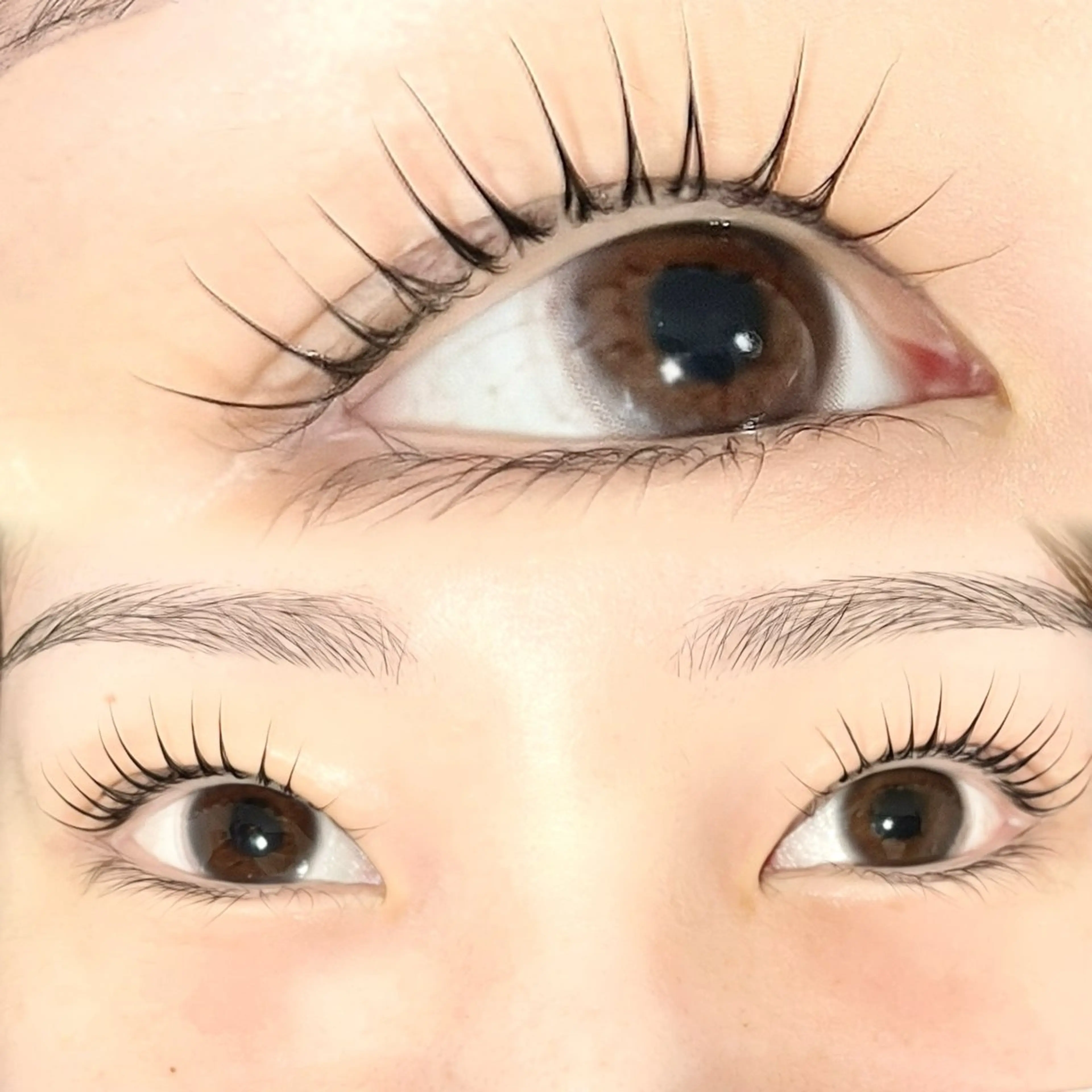 ラッシュリフト【上のみ】の写真