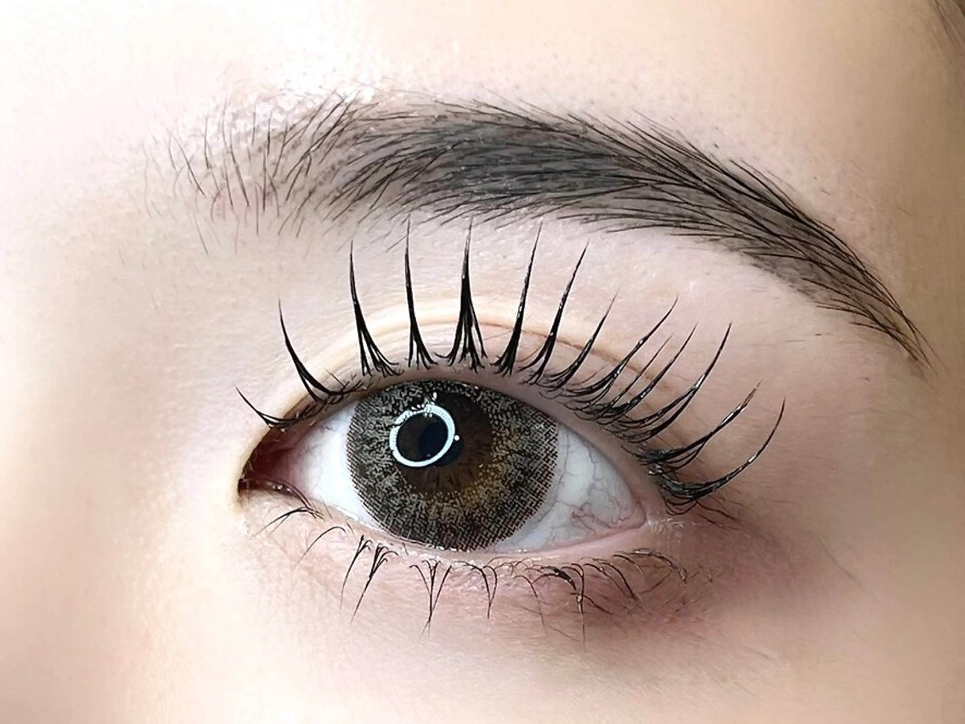 傷ませないまつげパーマ🛼コスメリフト+フルトリートメント　¥5500の写真