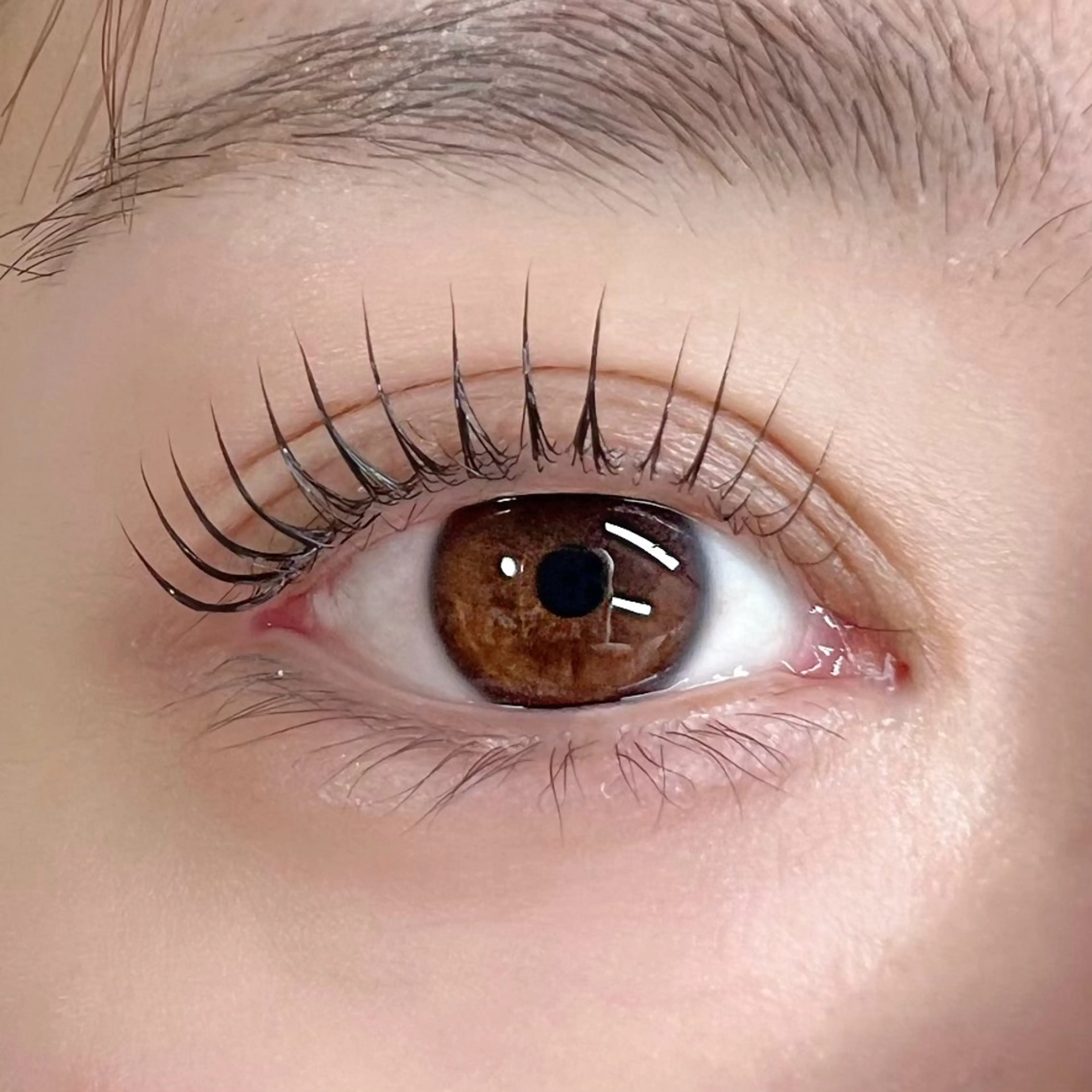 マツエク・マツパ linoa🌿 【天王寺】のマツエク・マツパデザイン