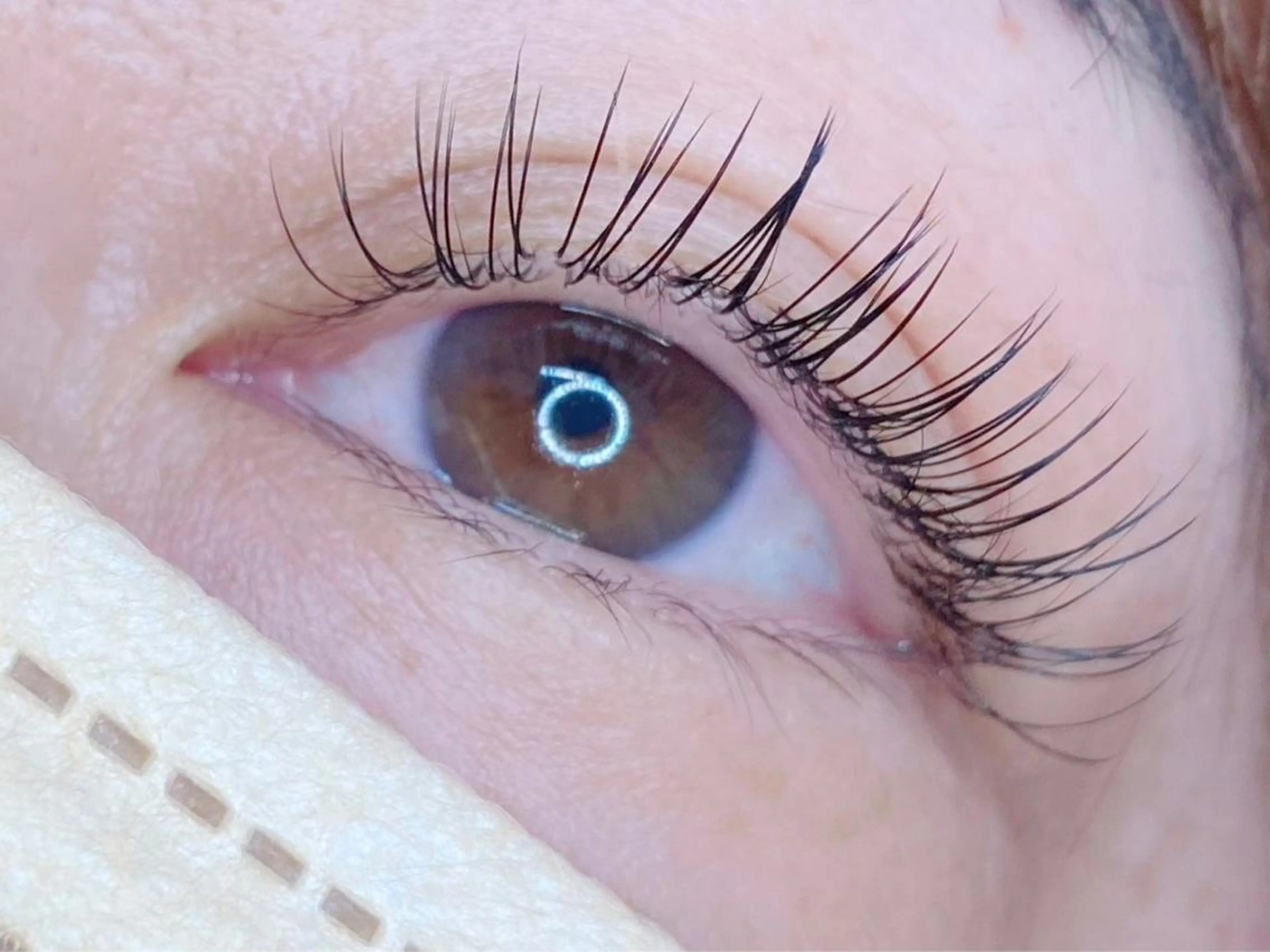 【⭐️🎀期間限定🎀⭐️】セーブルラッシュ 100～120本 4,980円 [銀座・東銀座]の写真