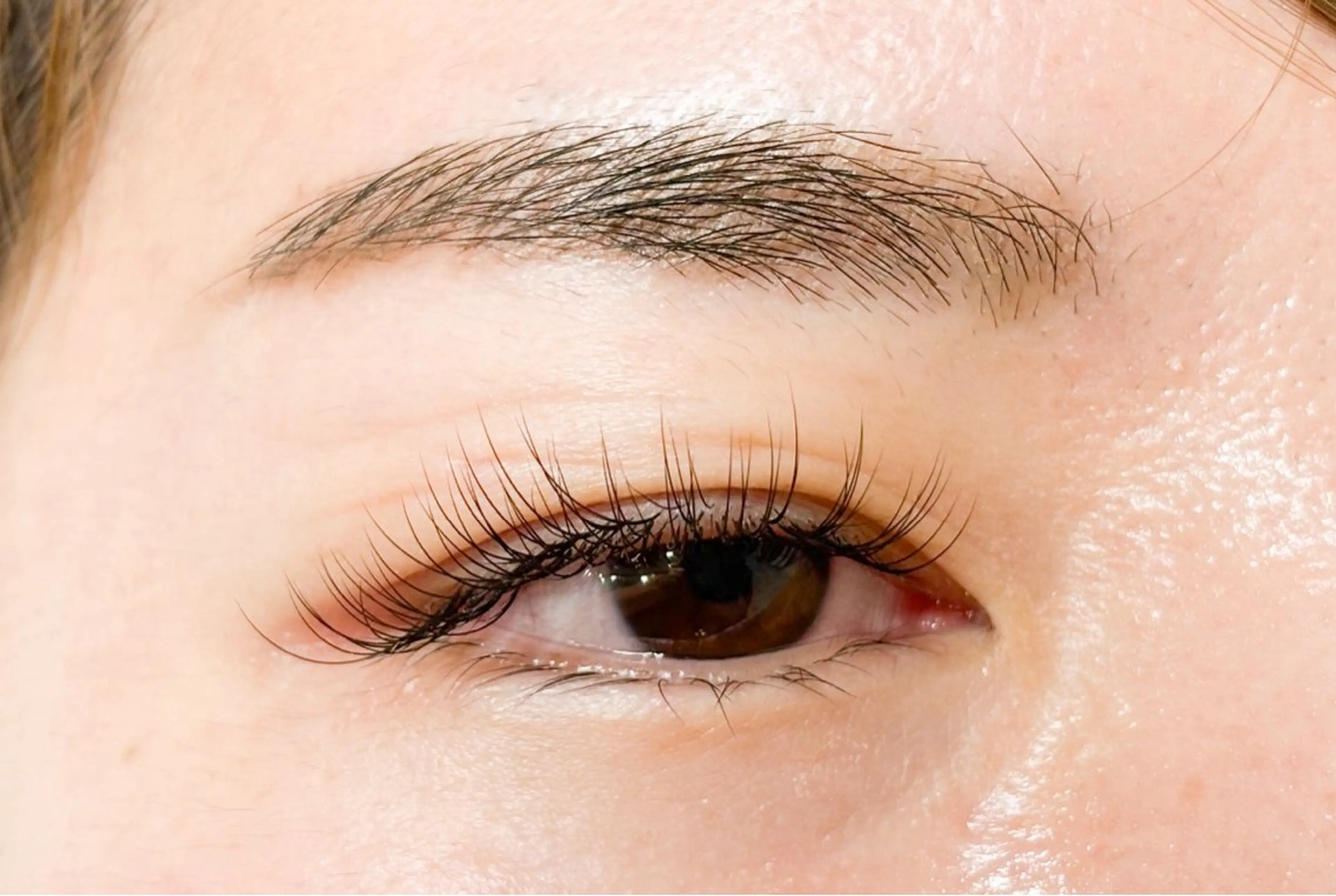 セーブル100本の写真