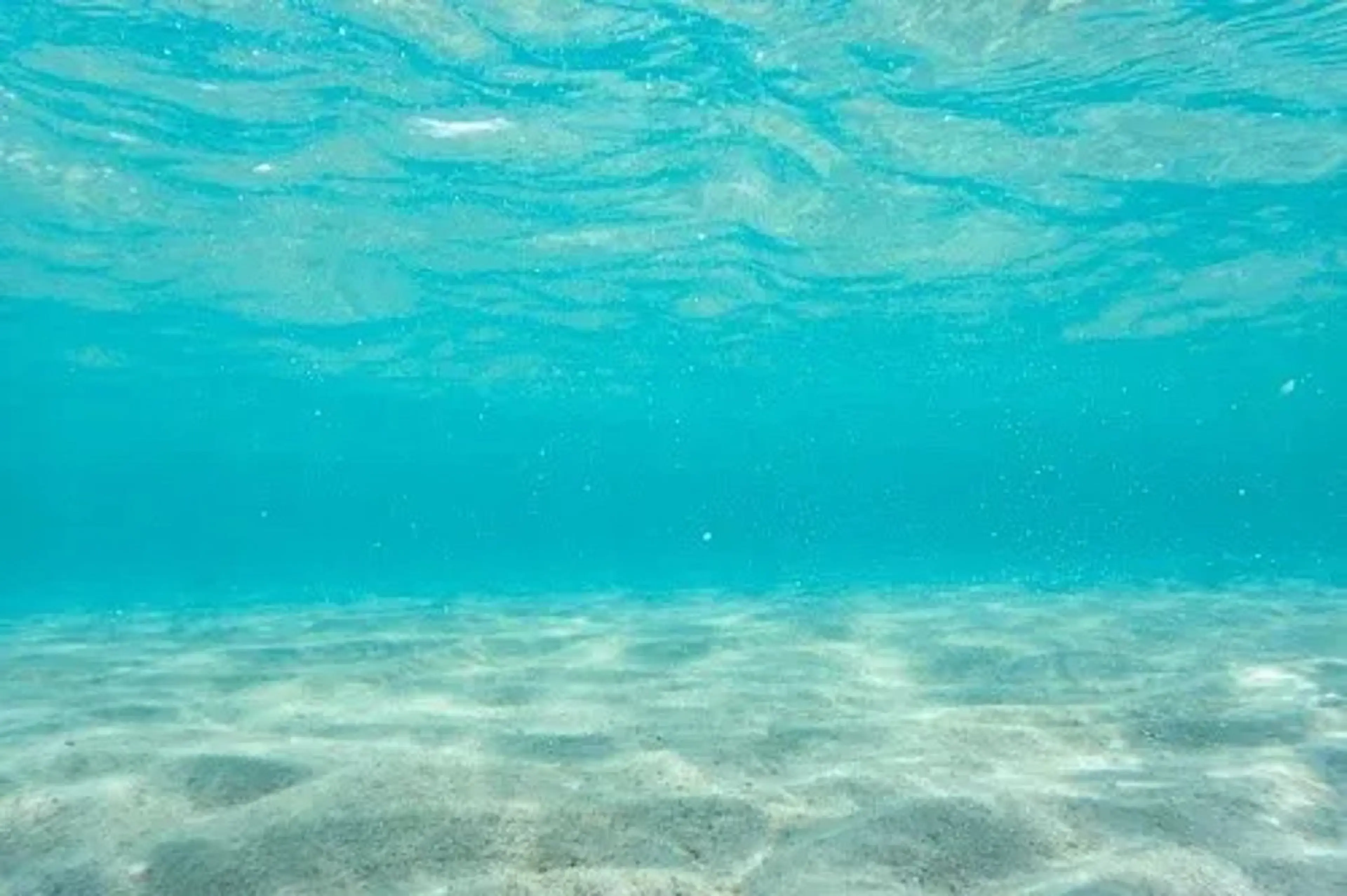 Bianca溝の口 INOMATAのマツエク・マツパデザイン