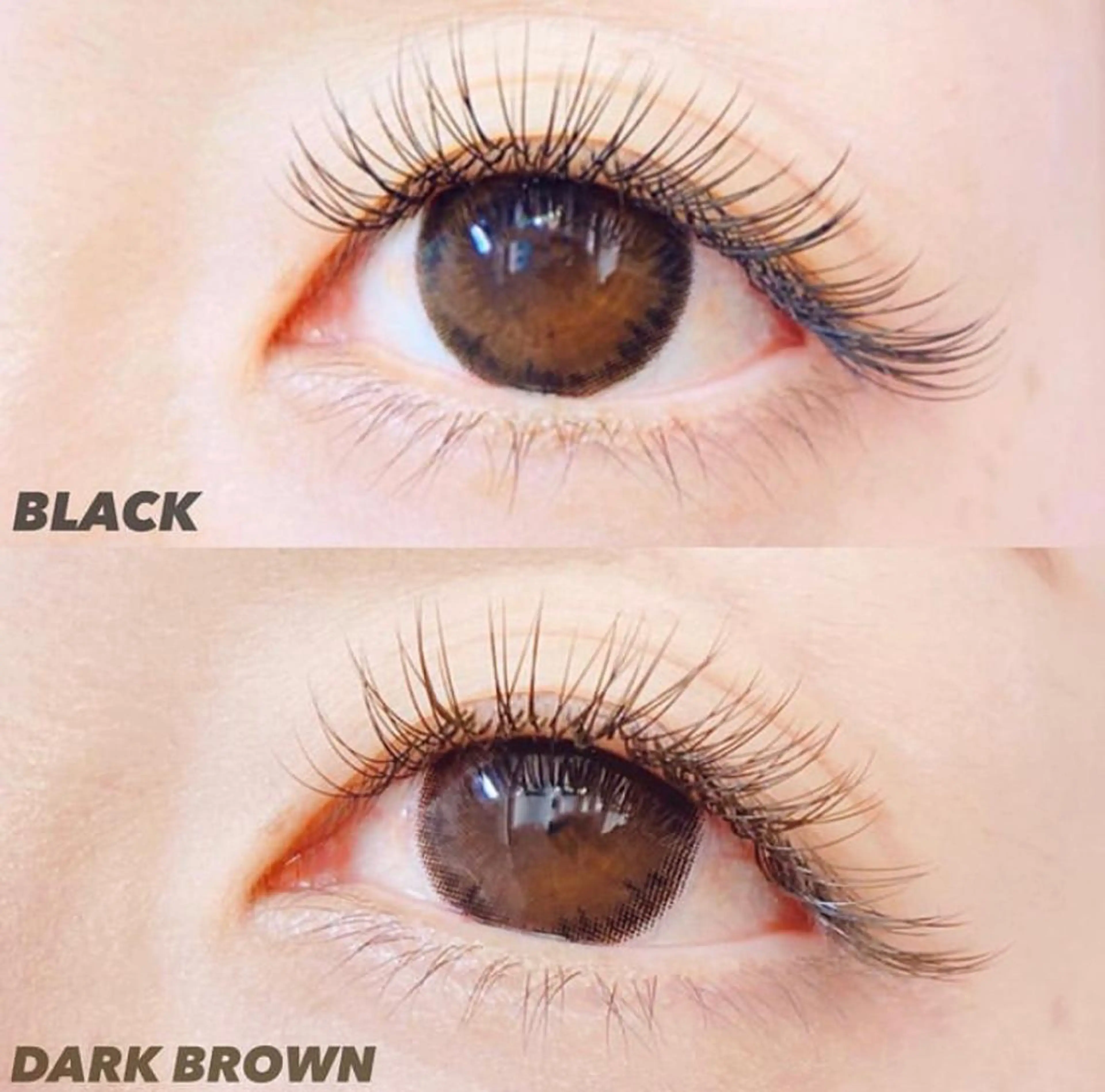 マツエク・マツパ oma 🕊MISAKIのマツエク・マツパデザイン