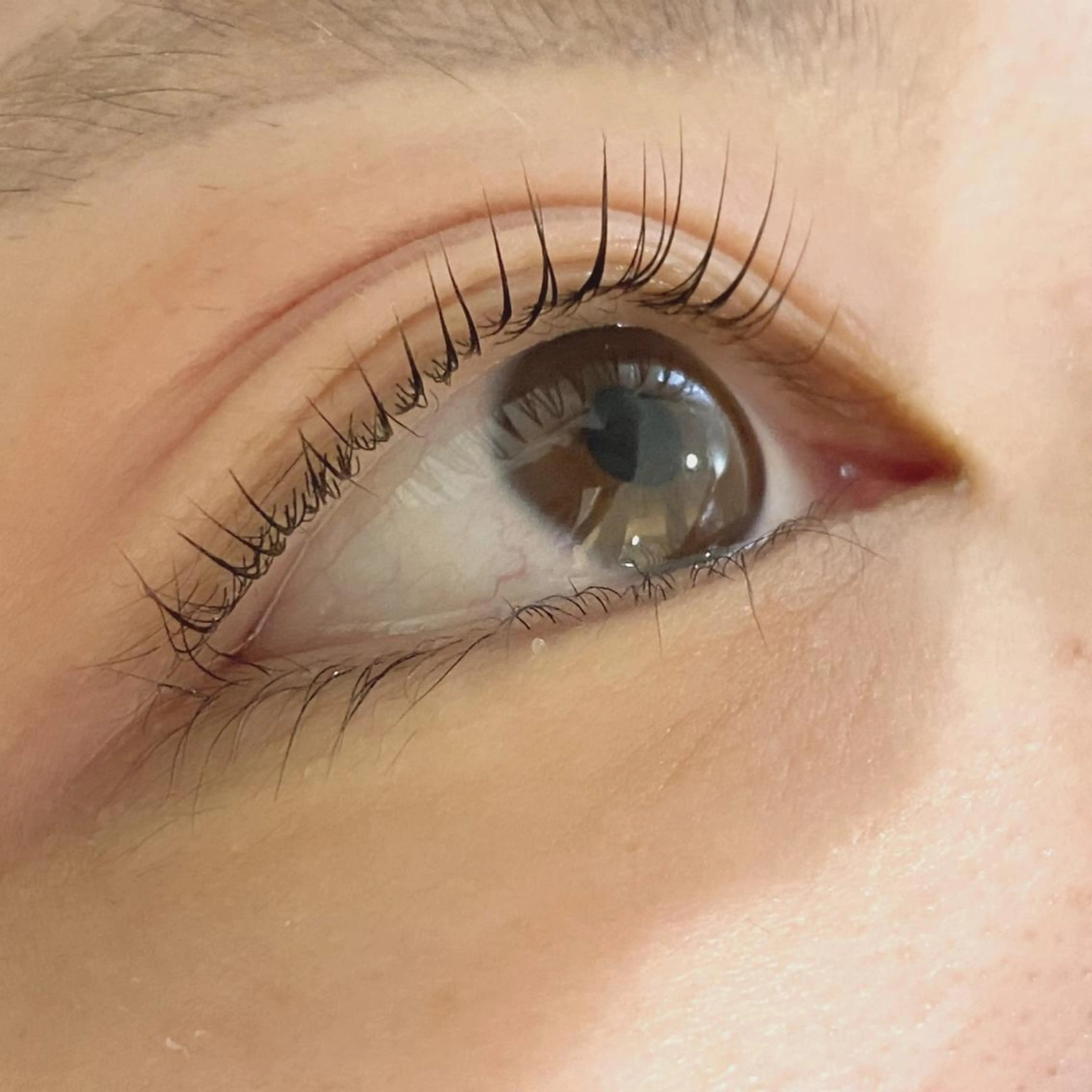 選べるまつげパーマ×アイブロウWAX⚠️遅刻不可　【パリジェンヌ・まつげパーマからお選びできます】リピーター+1000円の写真