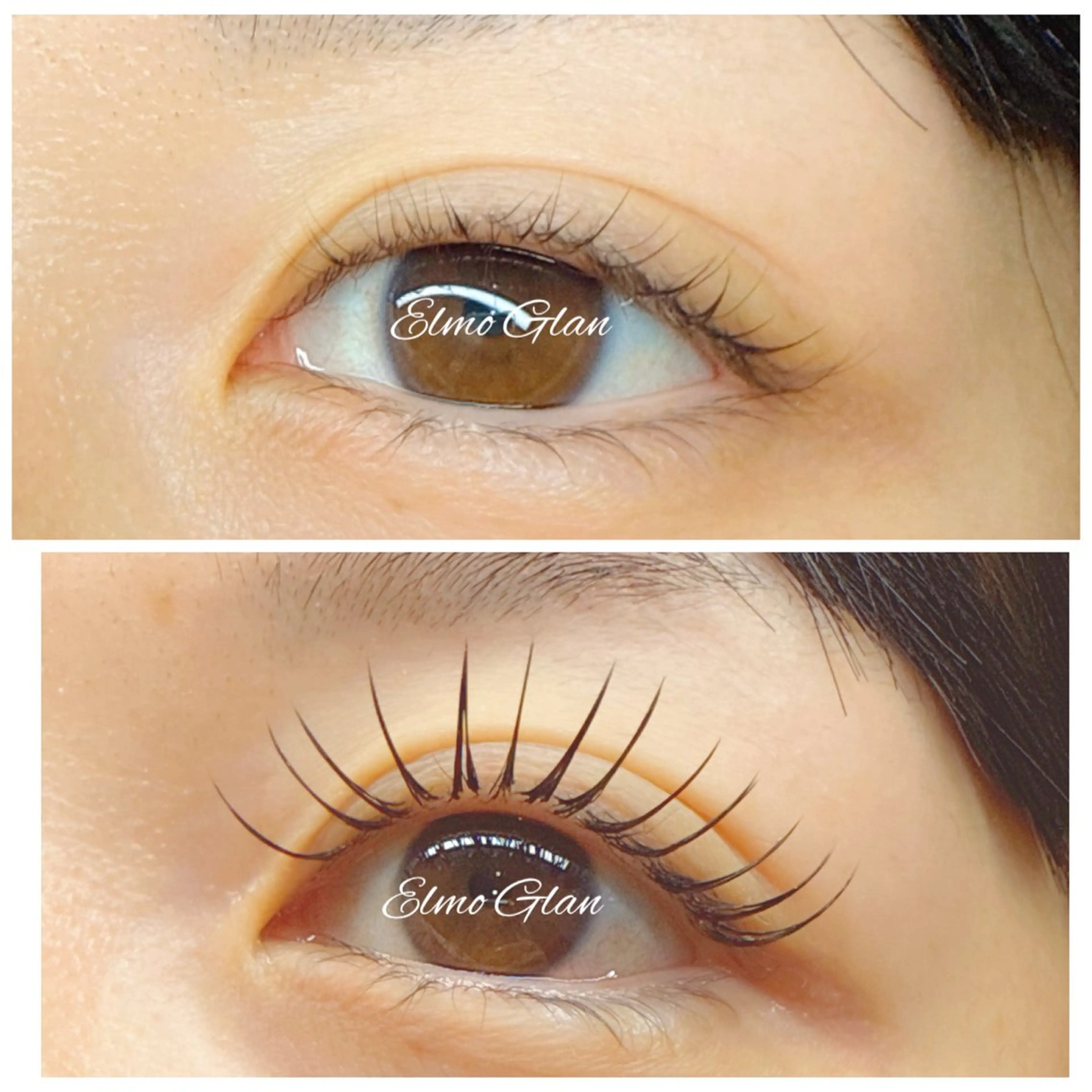 マツエク・マツパ 一重×まつ毛パーマ マツエク Elmo Glan サカモトのマツエク・マツパデザイン