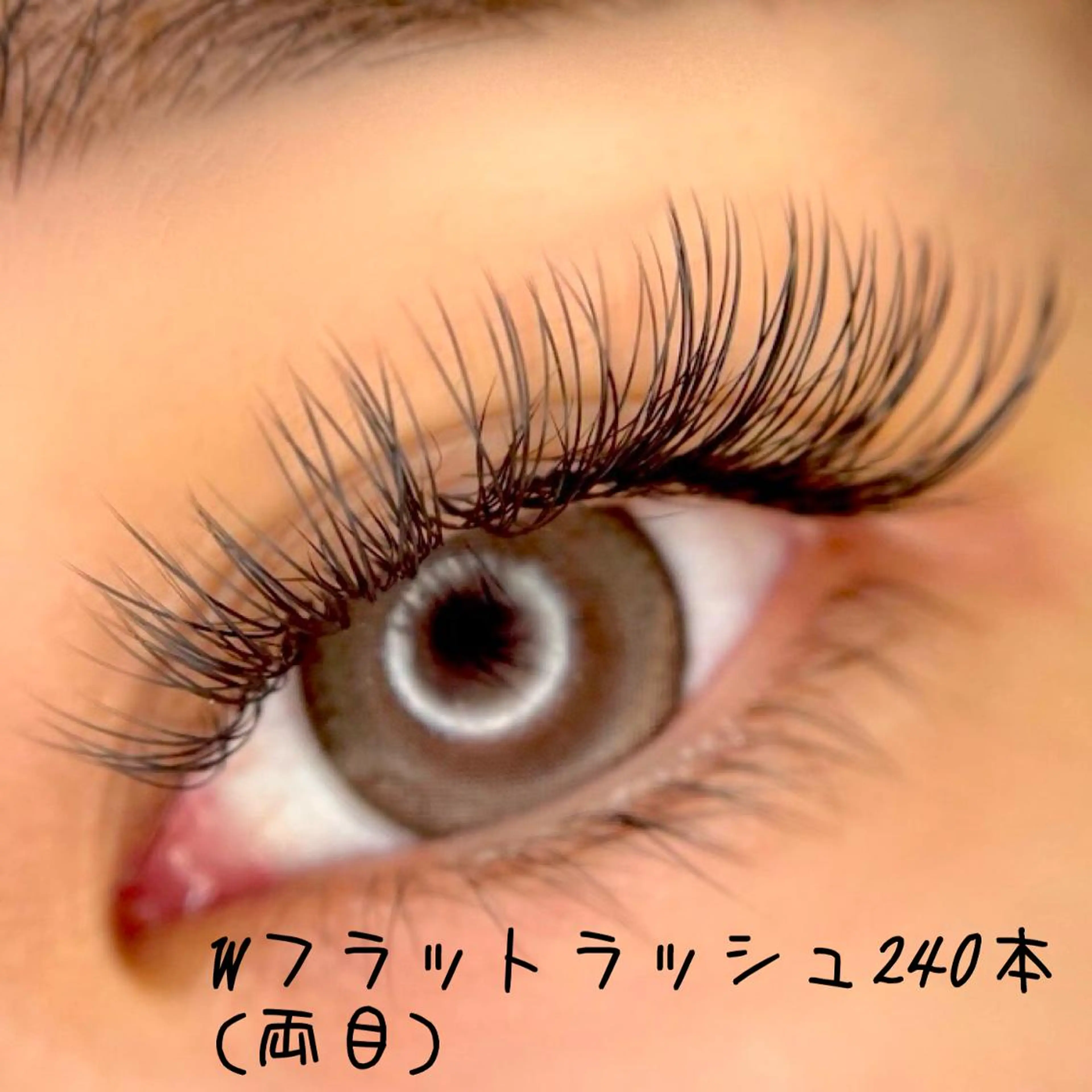 マツエク・マツパ フラットラッシュ 韓国風マツエク パリジェンヌラッシュリフト まつげパーマ ボリュームラッシュ マツエク ディーツ セタレのマツエク・マツパデザイン