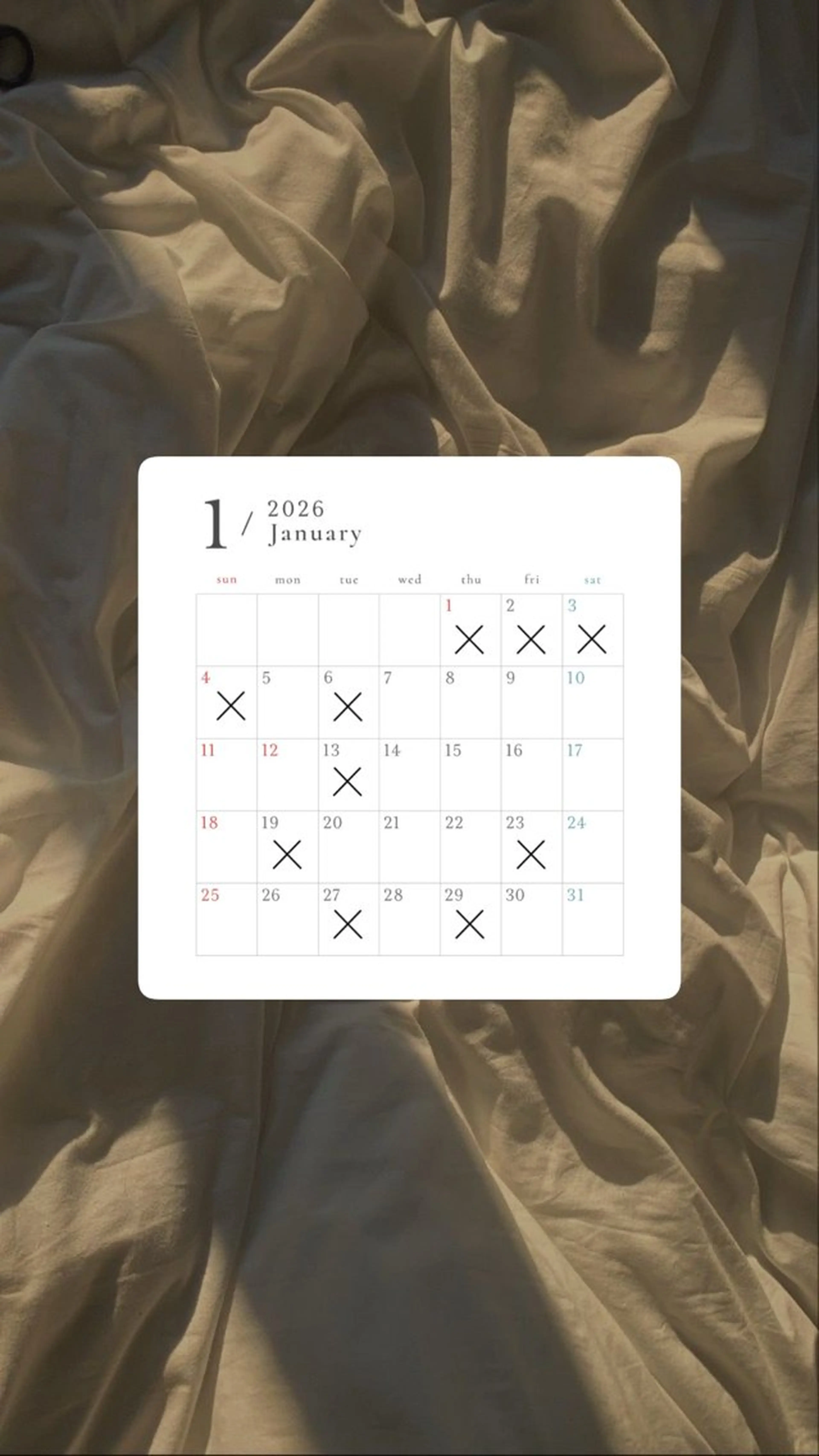 カラー カット ヘアカラー トリートメント suehiro yunaのヘアスタイル